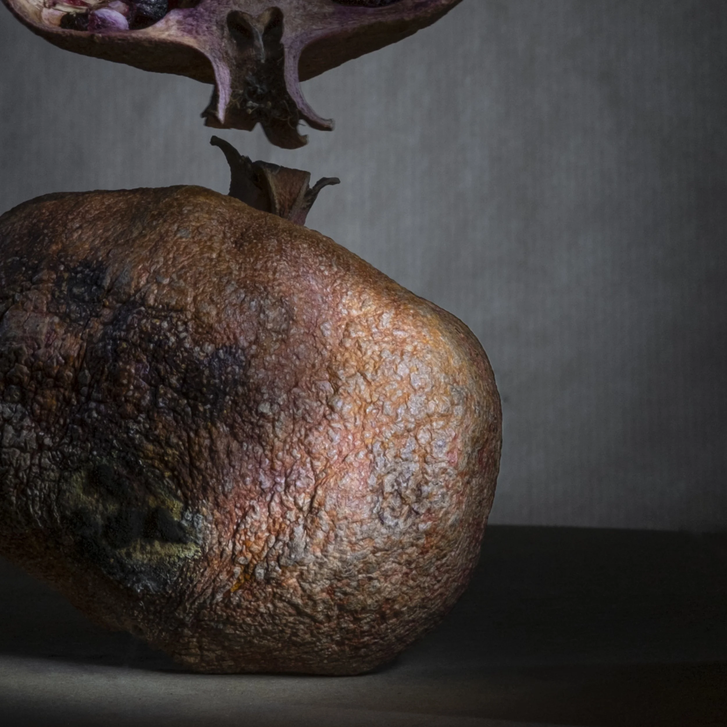 Munchx_Cecilie E Åserud Granateple3.jpg