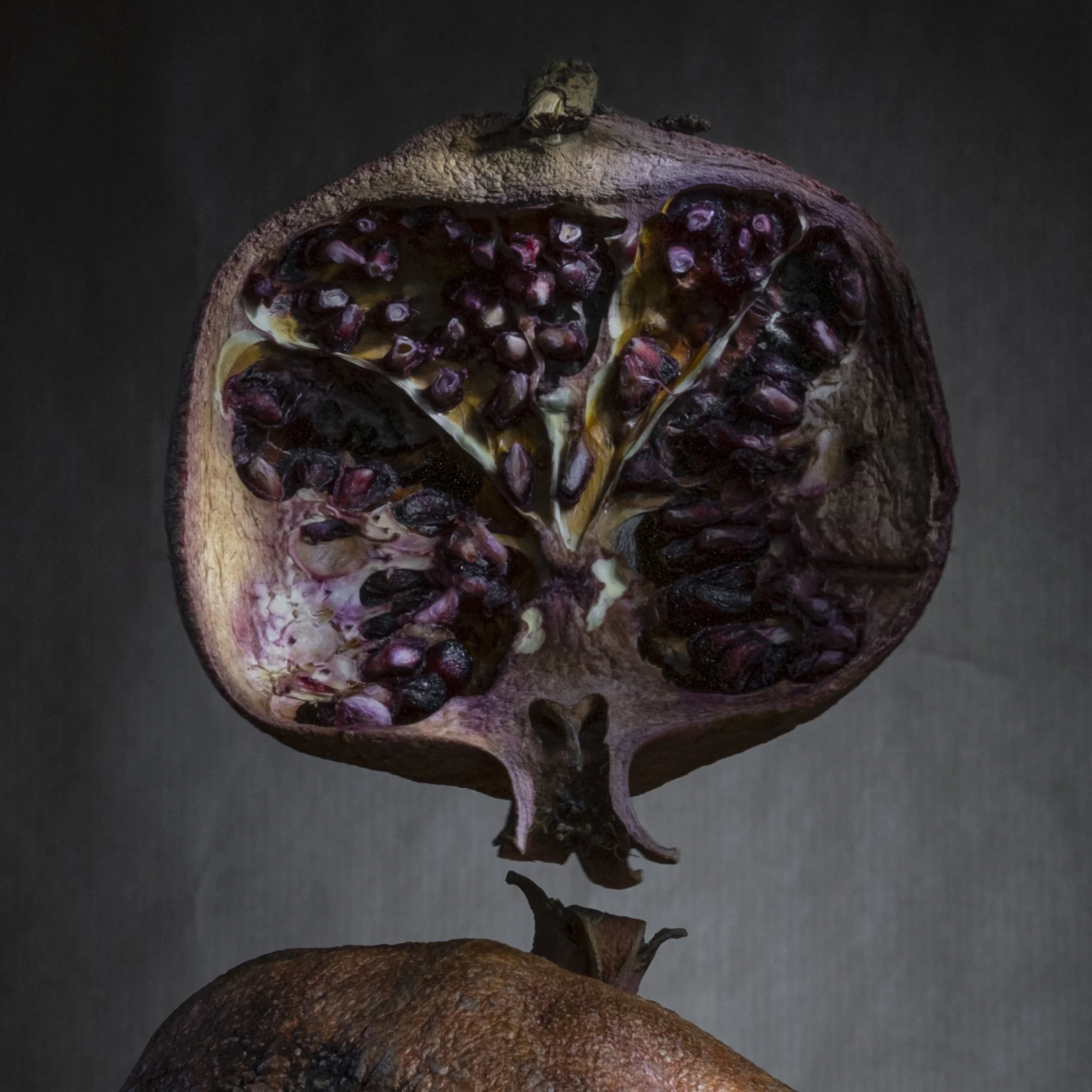 Munchx_Cecilie E Åserud Granateple4.jpg