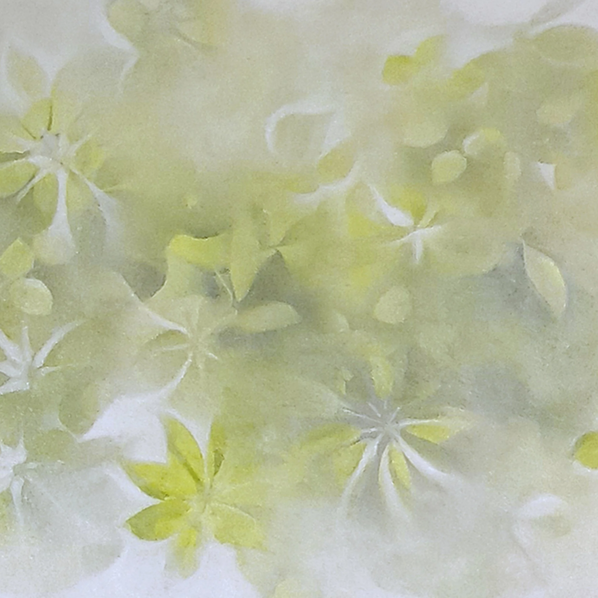 Munchx_Ingrid Louise Lindemann Flora verde2.jpg