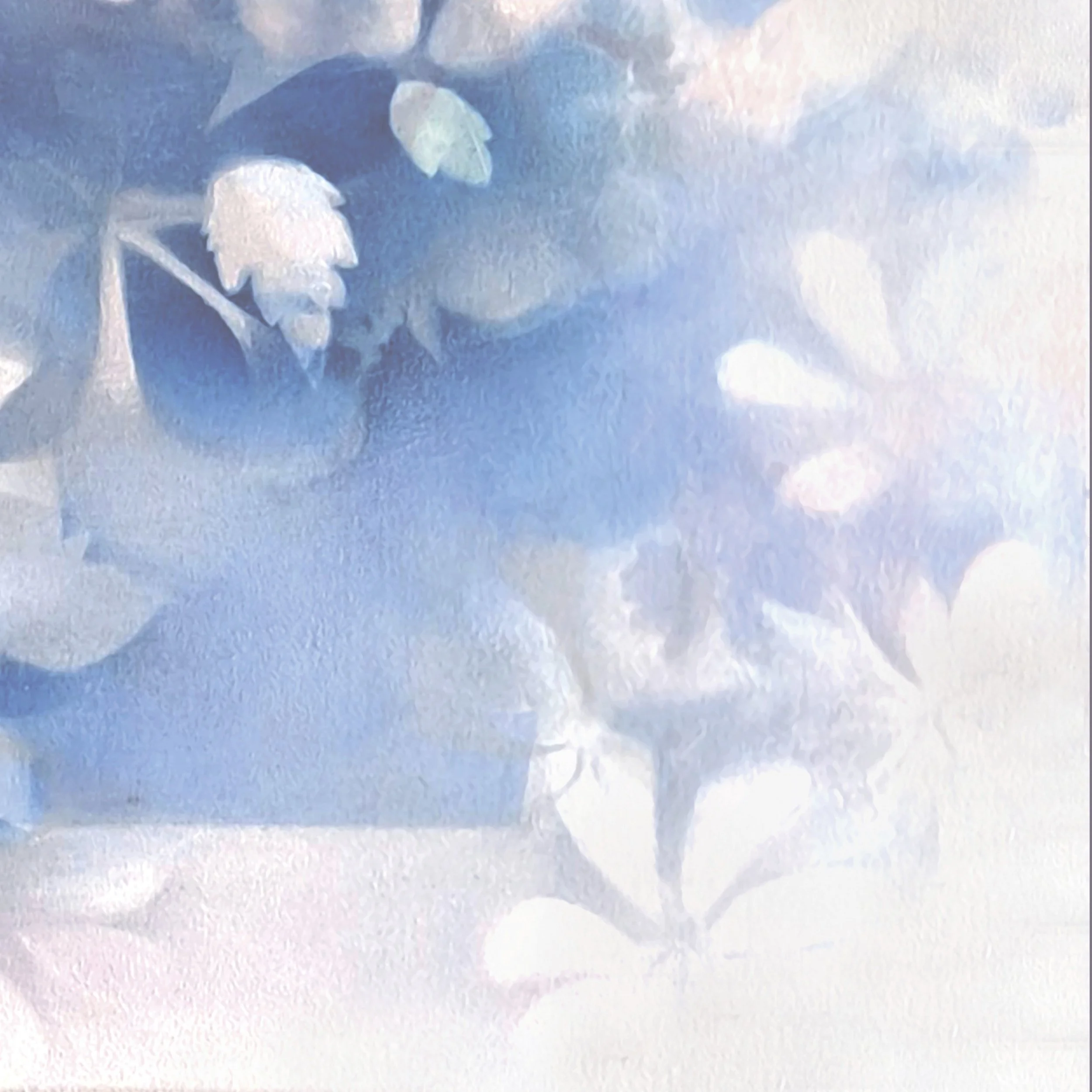 Munchx_Ingrid Louise Lindemann Flora i Perinaldo4.jpg