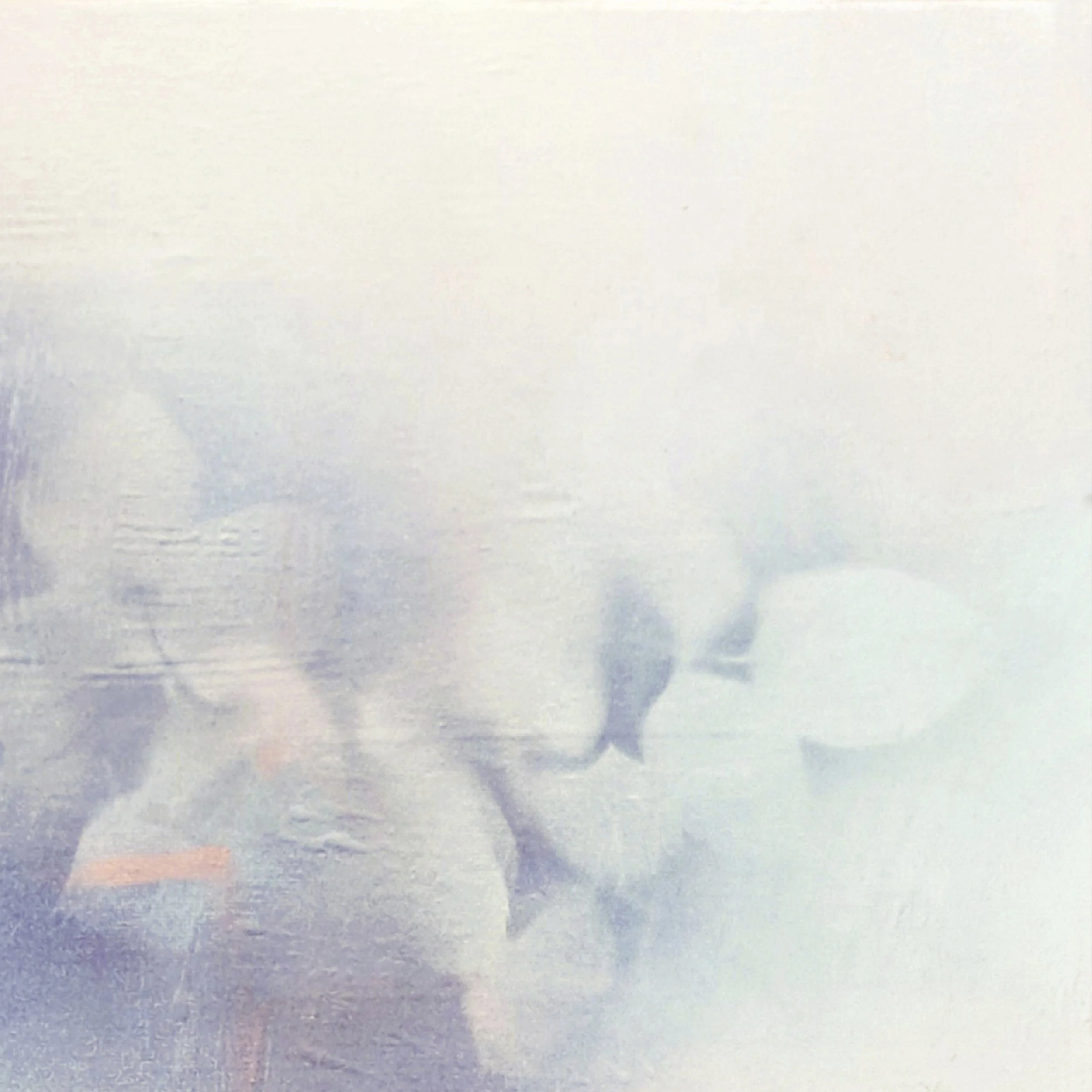 Munchx_Ingrid Louise Lindemann Rose2.jpg