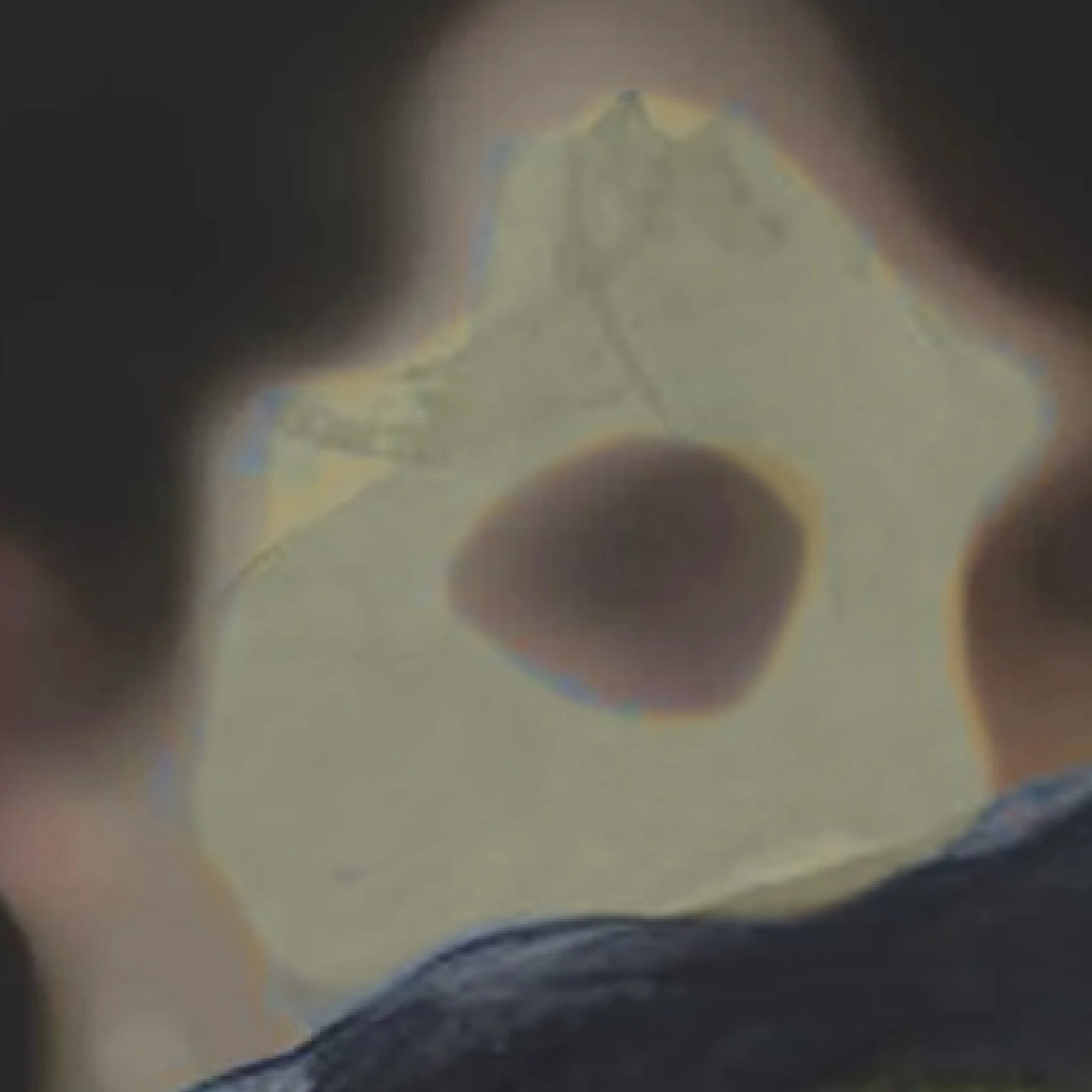 Munchx_Eva Christin Laska Edvard3.jpg