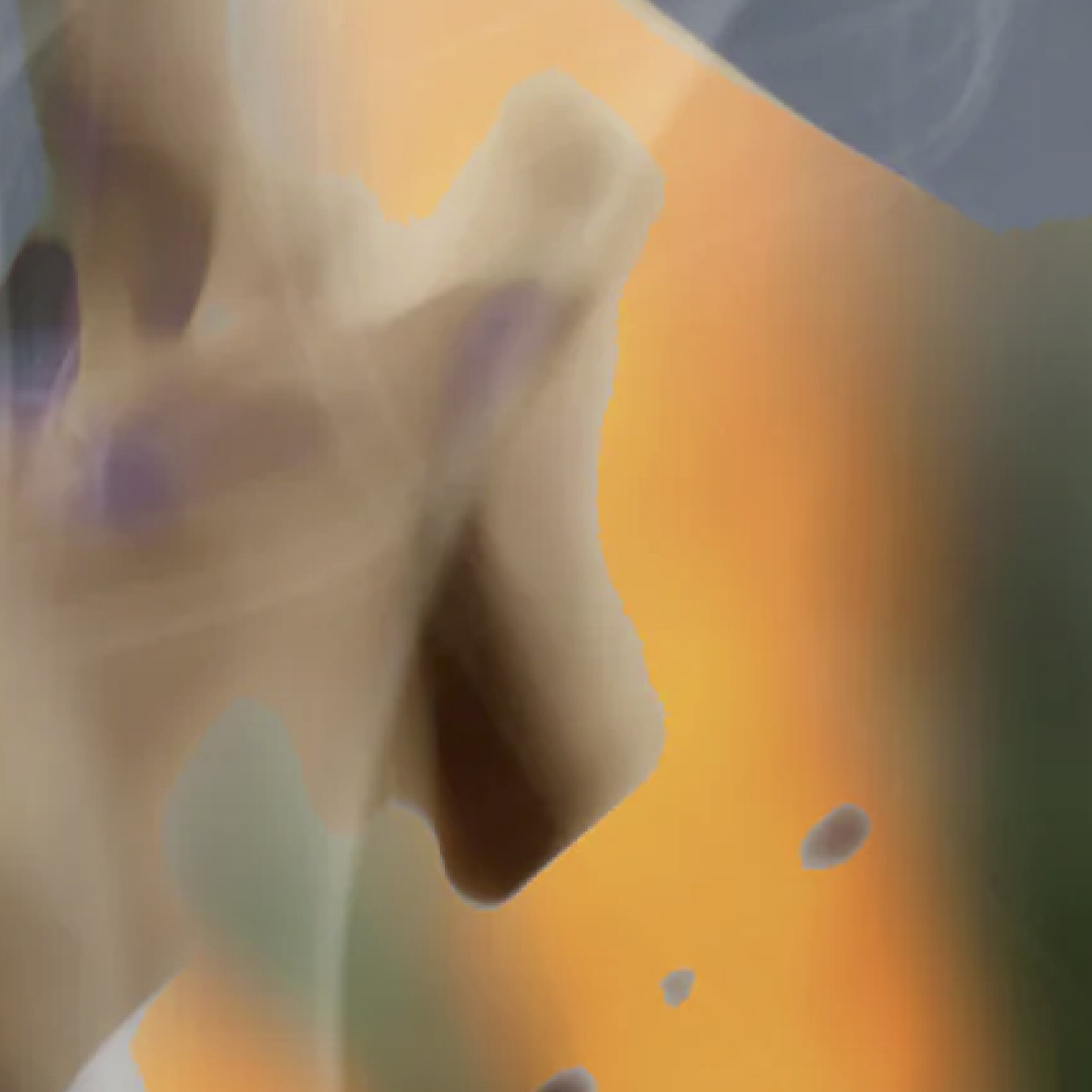 Munchx_Eva Christin Laska Dans la fumée3.jpg