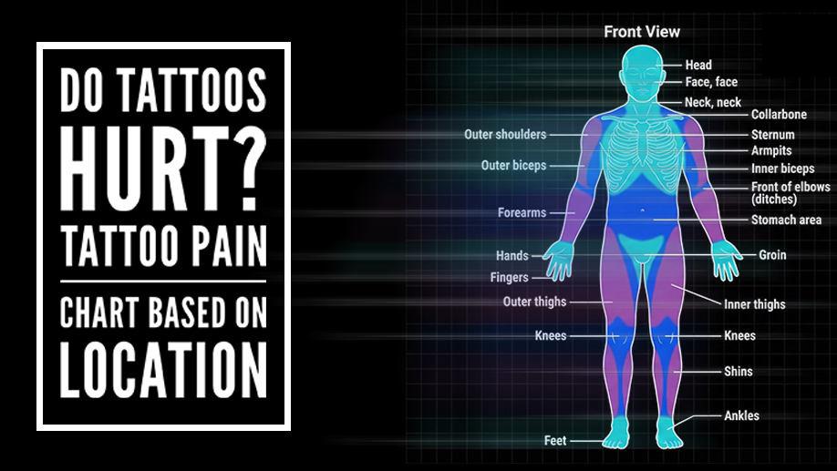 An informational diagram showing the body with labeled areas indicating where tattoo pain might occur, including head, face, neck, shoulders, biceps, forearms, hands, fingers, thighs, knees, shins, ankles, feet, stomach, groin, inner thighs, elbows, stomach area, inner biceps, armpits, and other regions. The diagram has a front view of a human body and a title that reads 'Do Tattoos Hurt? Tattoo Pain Chart Based on Location.'