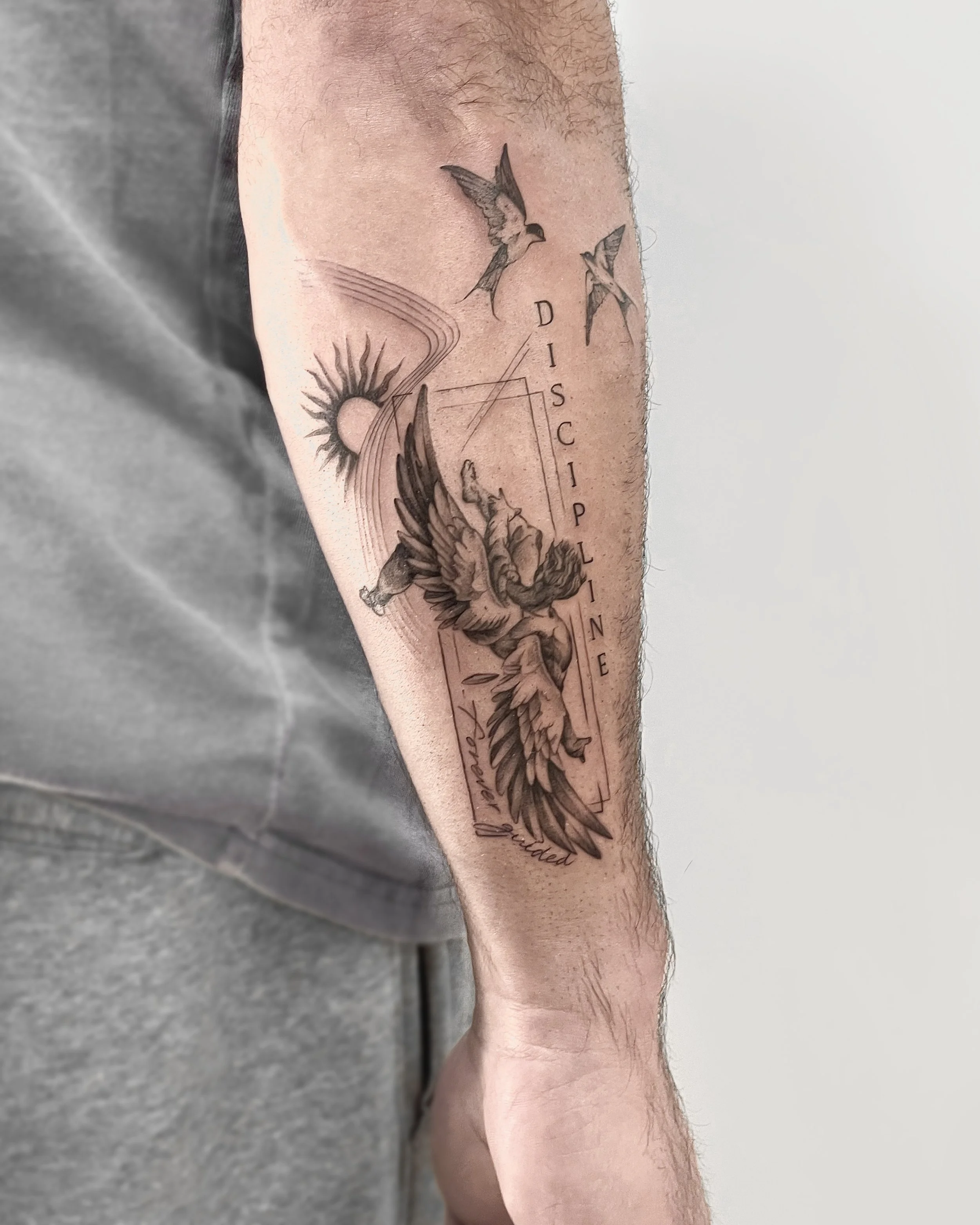 Tattoo on a person's arm featuring a flying horse with wings, a sun with rays, two birds in flight, and geometric lines with the words 'DISCLINE' and 'warmed'.