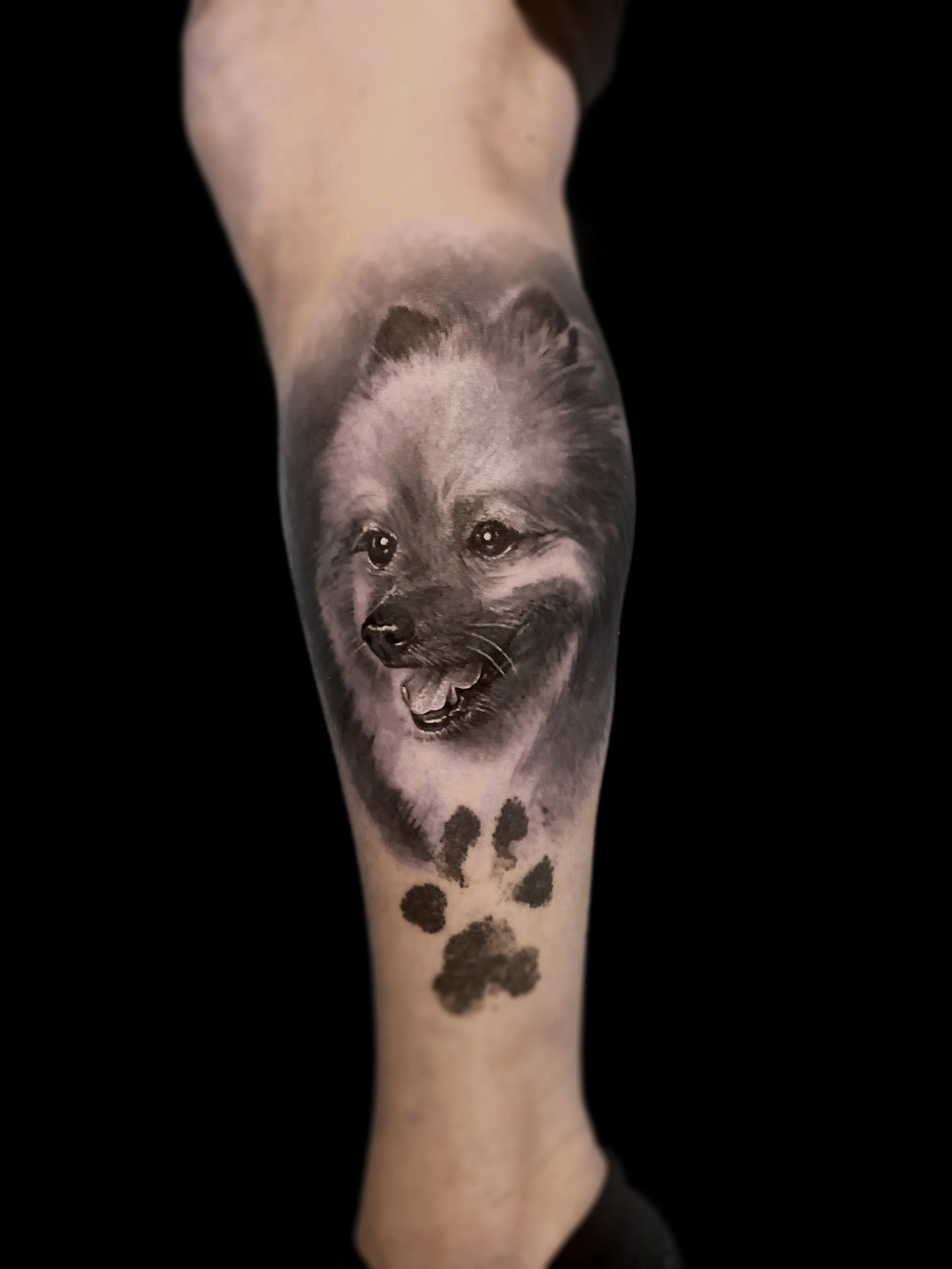 dog65.jpg