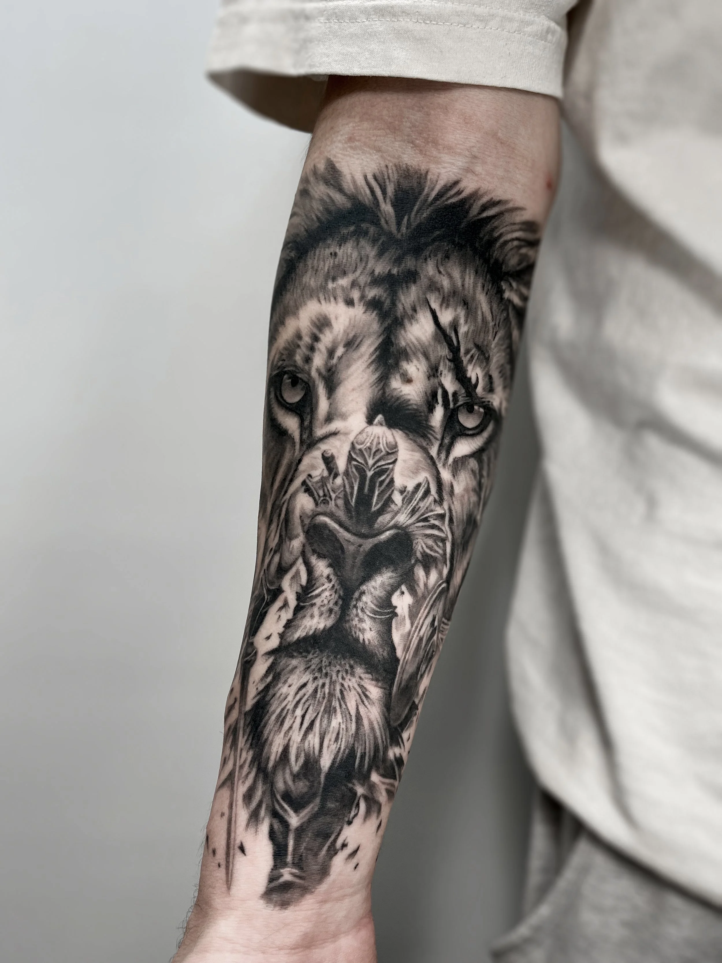 Black and gray realistic lion tattoo on person's forearm.