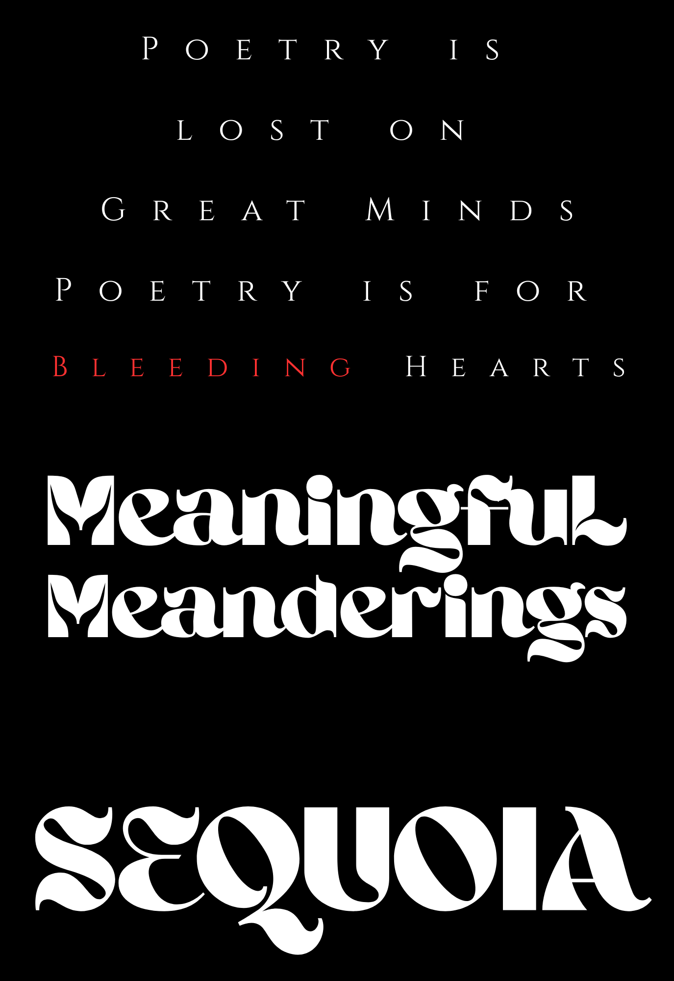 Meaningful Meaderings Poetry Book