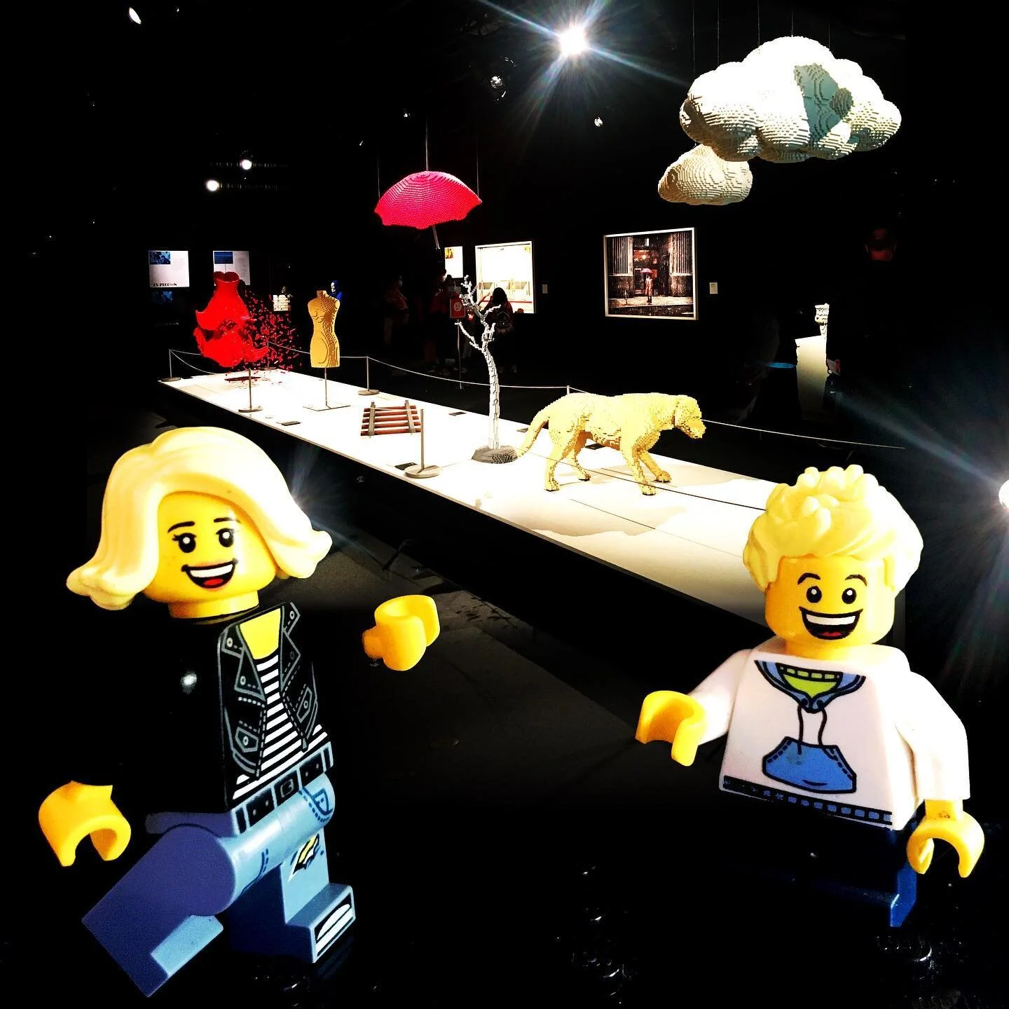 Awesome LEGO exhibit by @nathansawaya at @californiasciencecenter 💃☁️☂️
.
.
.
.
#jmelego #lego #legoholic @lego #brickcityterrace #legostagram #legominifigures #legophotography #legoinstgrm #legofriends #bricks #legoworld #minifigures #bricknetwork 
