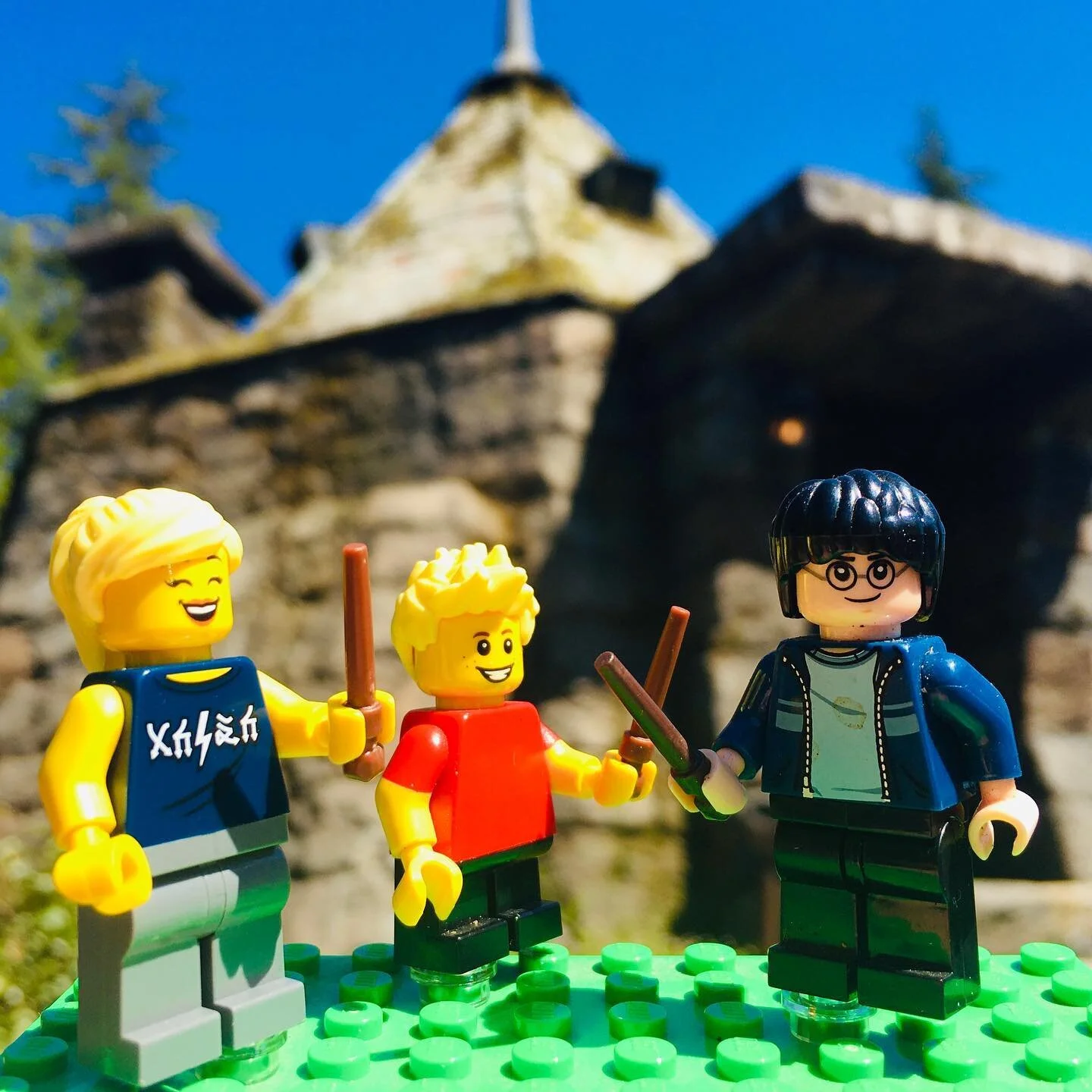 Visiting some friends at Hagrid&rsquo;s house 🔮⚡️❤️
.
.
.
.
#jmelego #lego #legoholic @lego #brickcityterrace #legostagram #legominifigures #legophotography #legoinstgrm #legofriends #bricks #legoworld #minifigures #bricknetwork #legoaddict #legomin