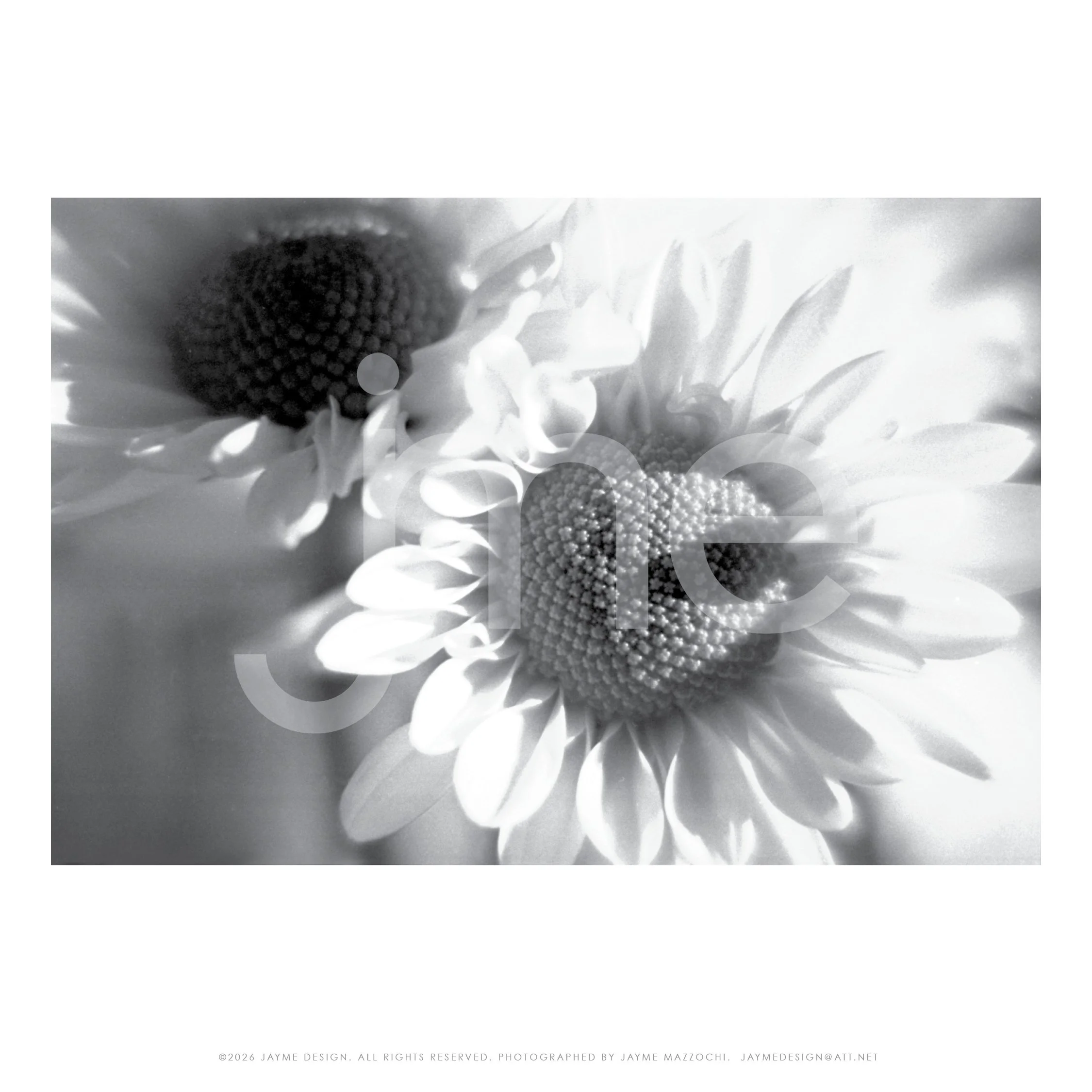 jme_PhotographySamples_20264.jpg