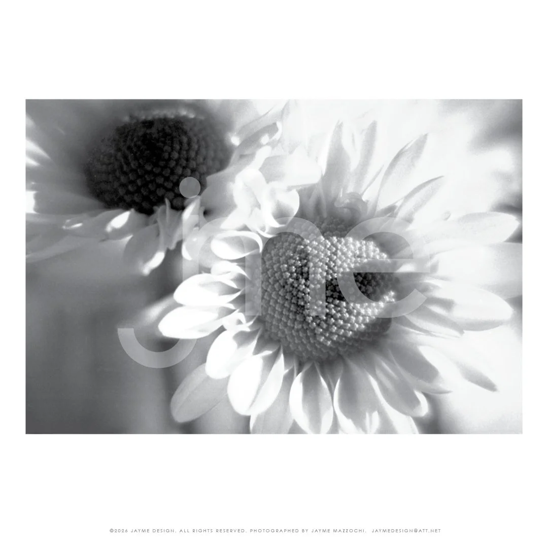 jme_PhotographySamples_20264.jpg