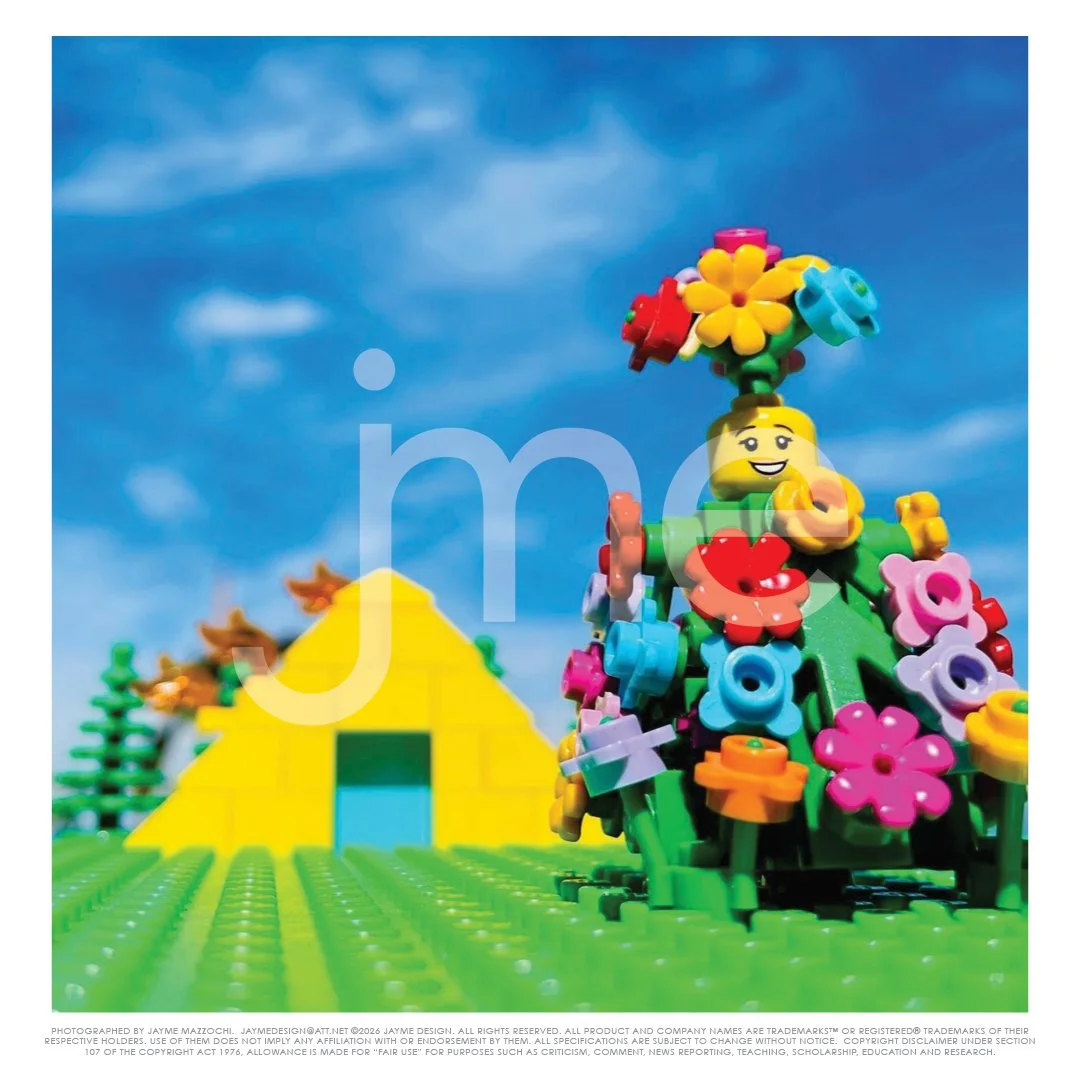 jme_BrickArtSamples_20269.jpg