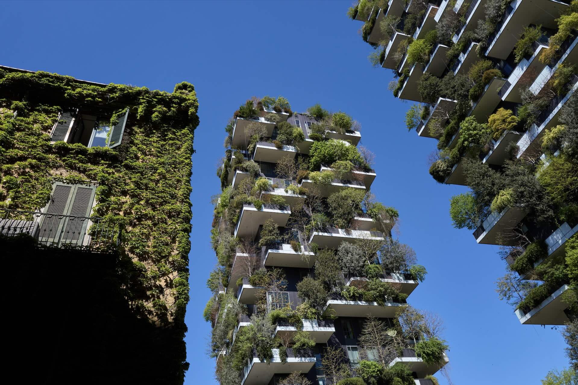 Bosco verticale, Milano.
Matteo Della Torre Photography
Fotografo di ritratto, beauty, moda e commerciale. Ritratti e Book per modelle e modelli. 
Studio: San Ferdinando di Puglia (BT).