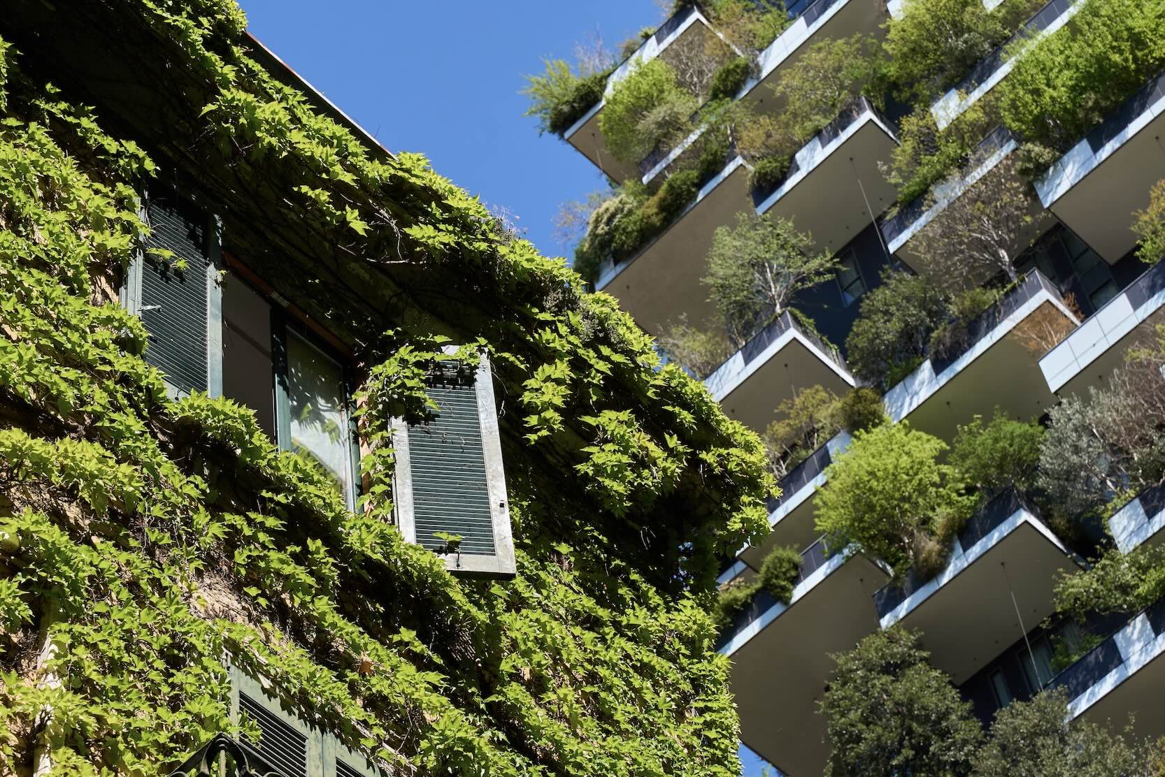 Bosco verticale, Milano.
Matteo Della Torre Photography
Fotografo di ritratto, beauty, moda e commerciale. Ritratti e Book per modelle e modelli. 
Studio: San Ferdinando di Puglia (BT).