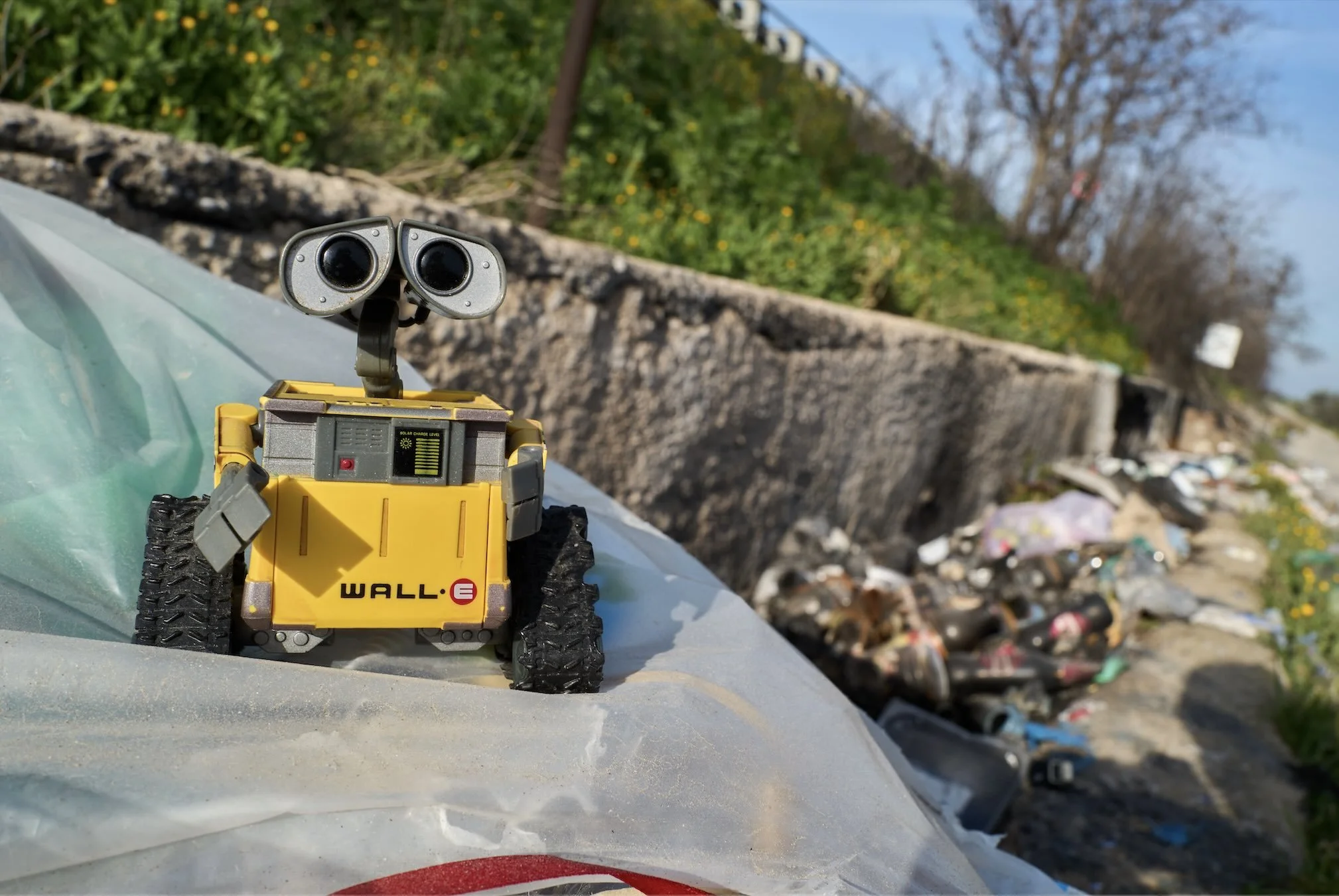 Foto: Matteo Della Torre Photography, fotografo