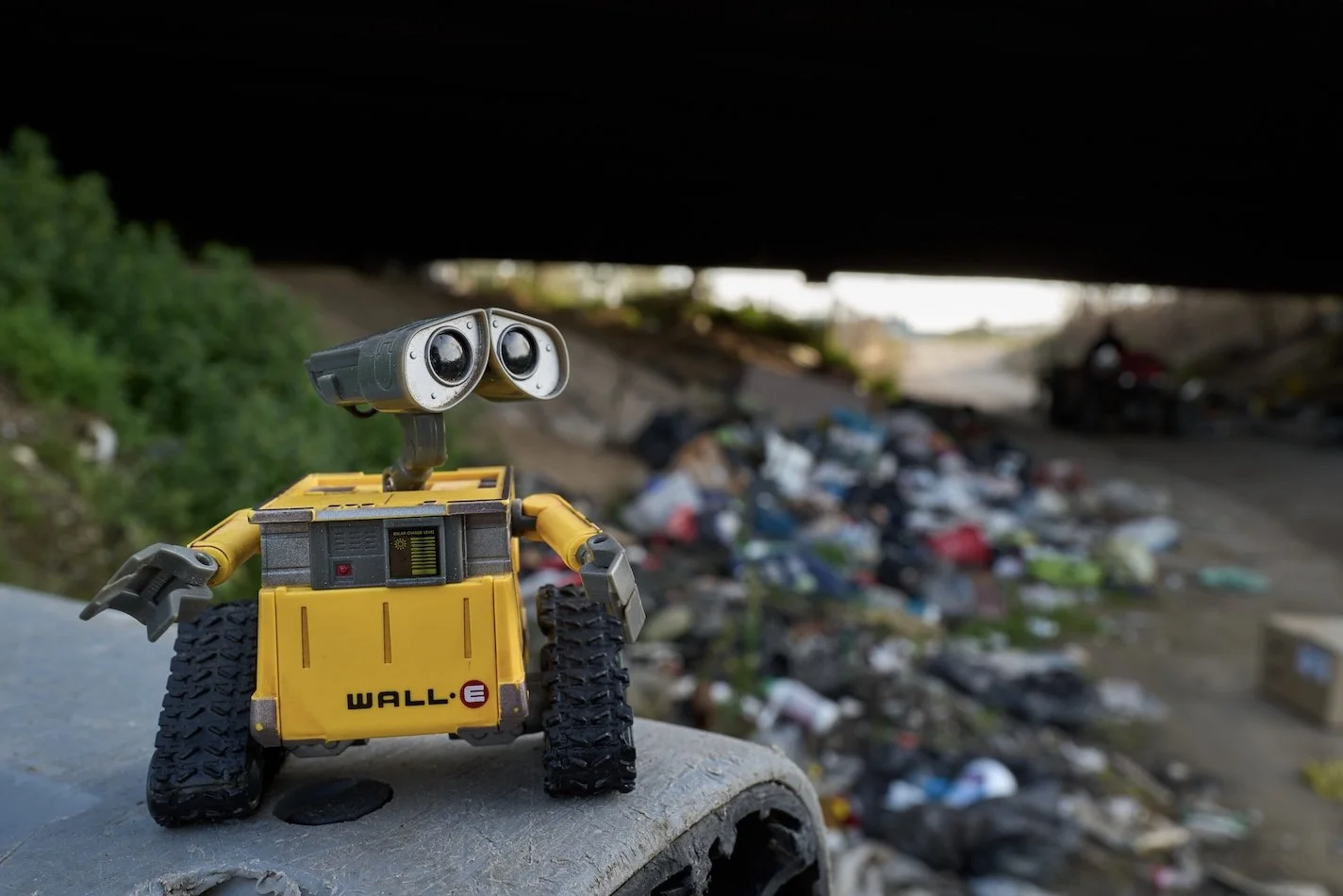 Foto: Matteo Della Torre Photography, fotografo