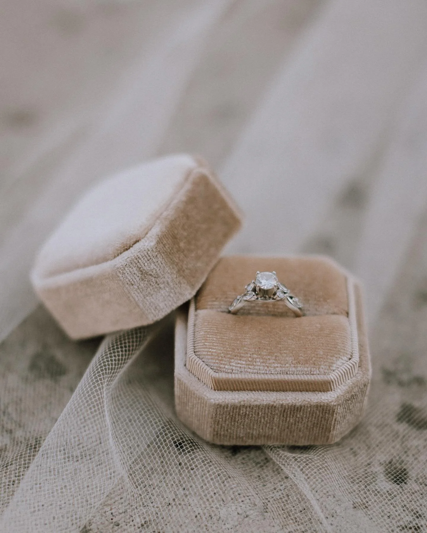 Wedding Month is Here!

We&rsquo;re almost halfway through February 2025, which, in our family, is wedding month! Two of our five daughters are getting married just 5 days apart, and I keep telling myself&hellip; breathe.

It&rsquo;s a whirlwind of l