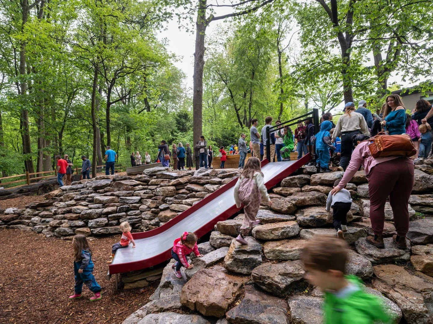 The Tall Trees Playground at the Schuylkill Center for Environmental Education is a nature-based playground that&rsquo;s increasing accessibility and inclusion for nature-based play.⁠
⁠
Built within a forest of mature trees, the design carefully work