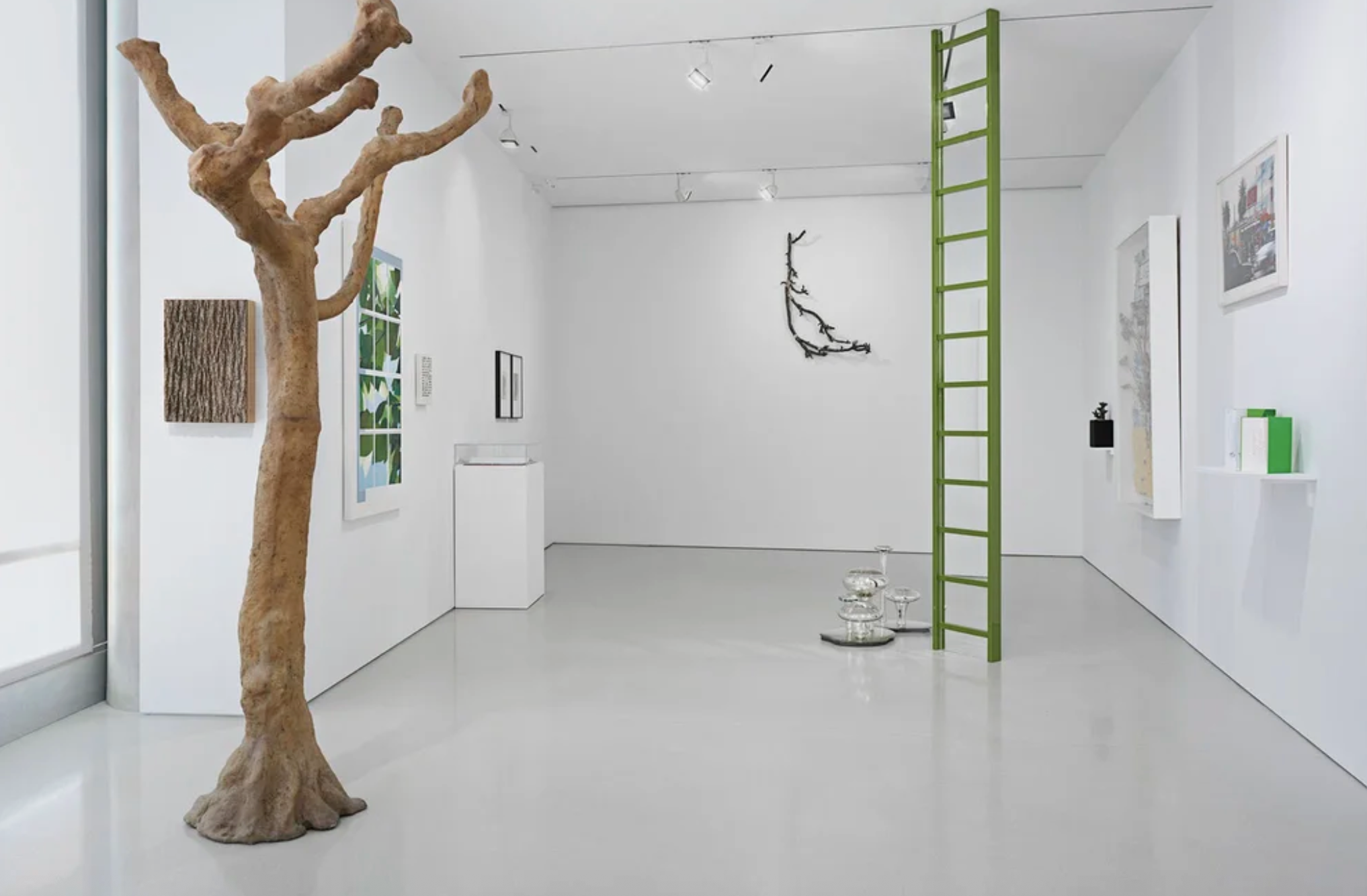 Installation view, "Something About A TREE", 2013, curated by Linda Yablonsky, The Flag Art Foundation, New York, NY