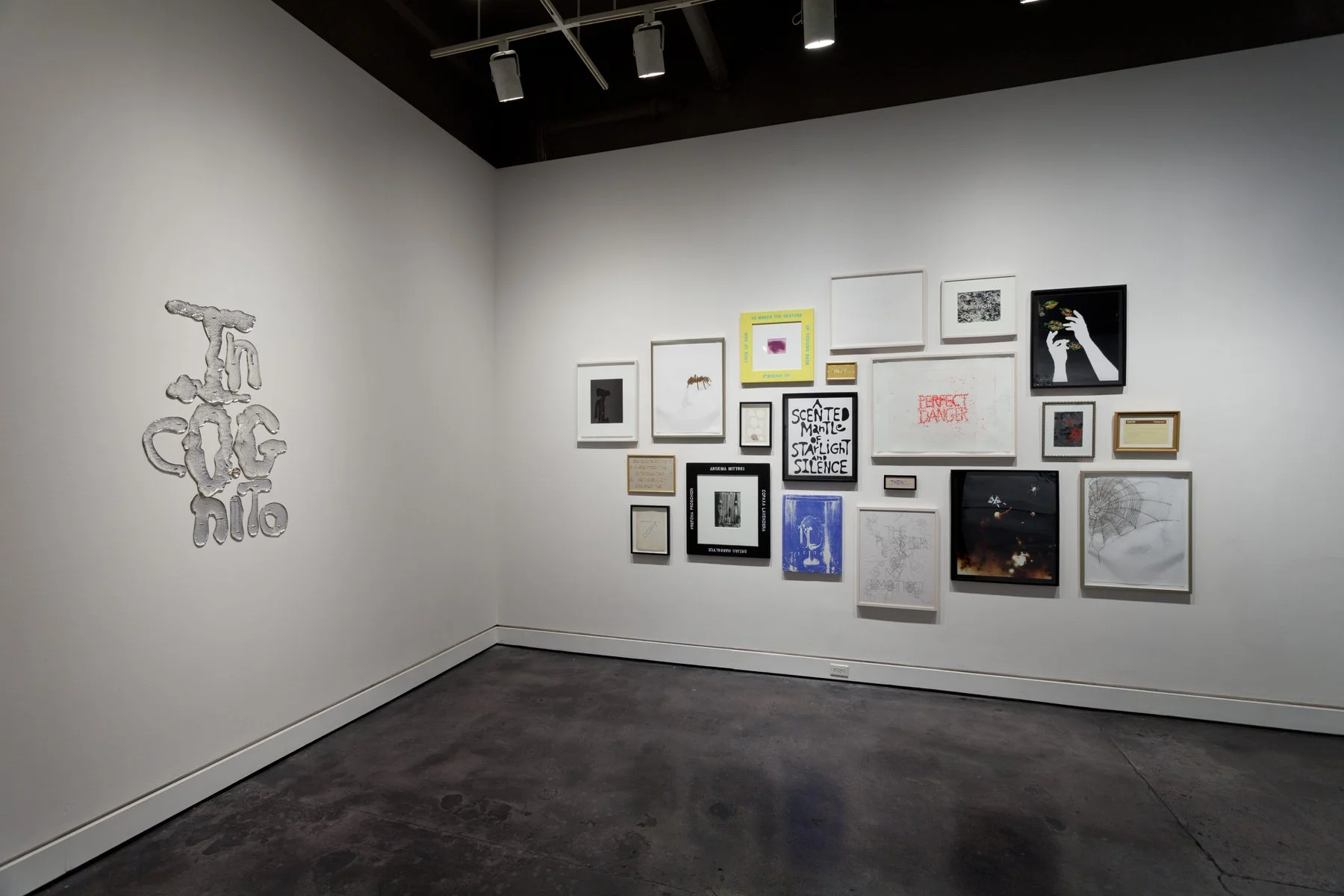 Installation view, "Incognito", 2011, Locks Gallery, Philadelphia