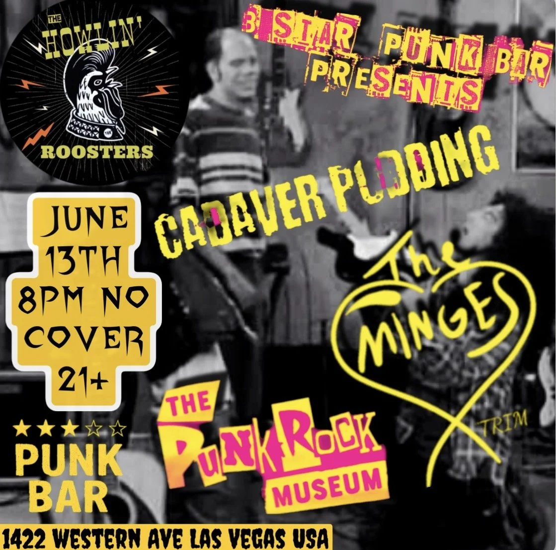 3 star punk bar presents - The Howlin' Roosters - Cadaver Pudding - the minges