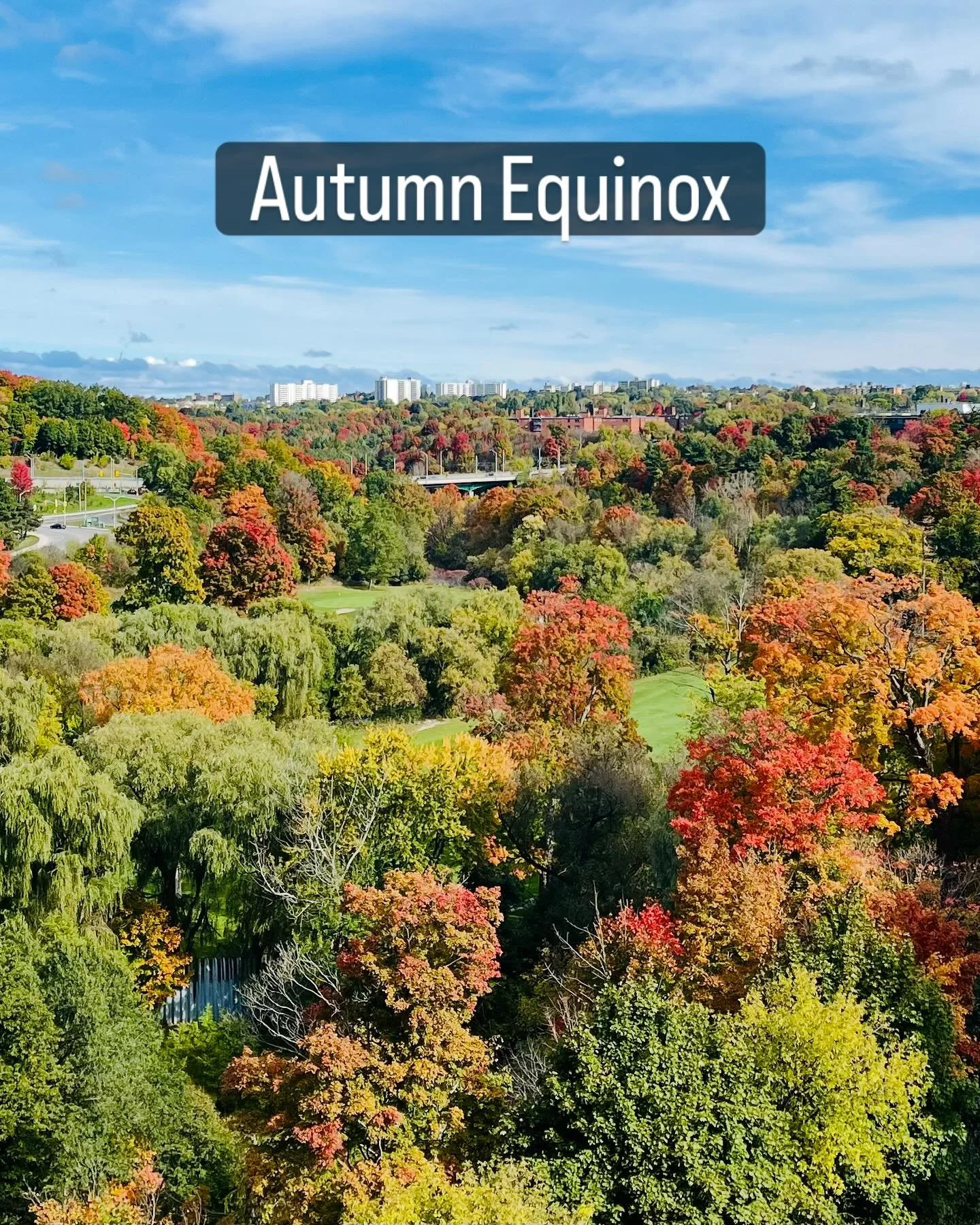 Today is the Autumn Equinox 🍂🍁

One of the two days per year when daylight and nightfall are in equal balance!

Not only does this day mark the change in the seasons (from warmer, longer days to cooler, longer nights), but also significant transiti