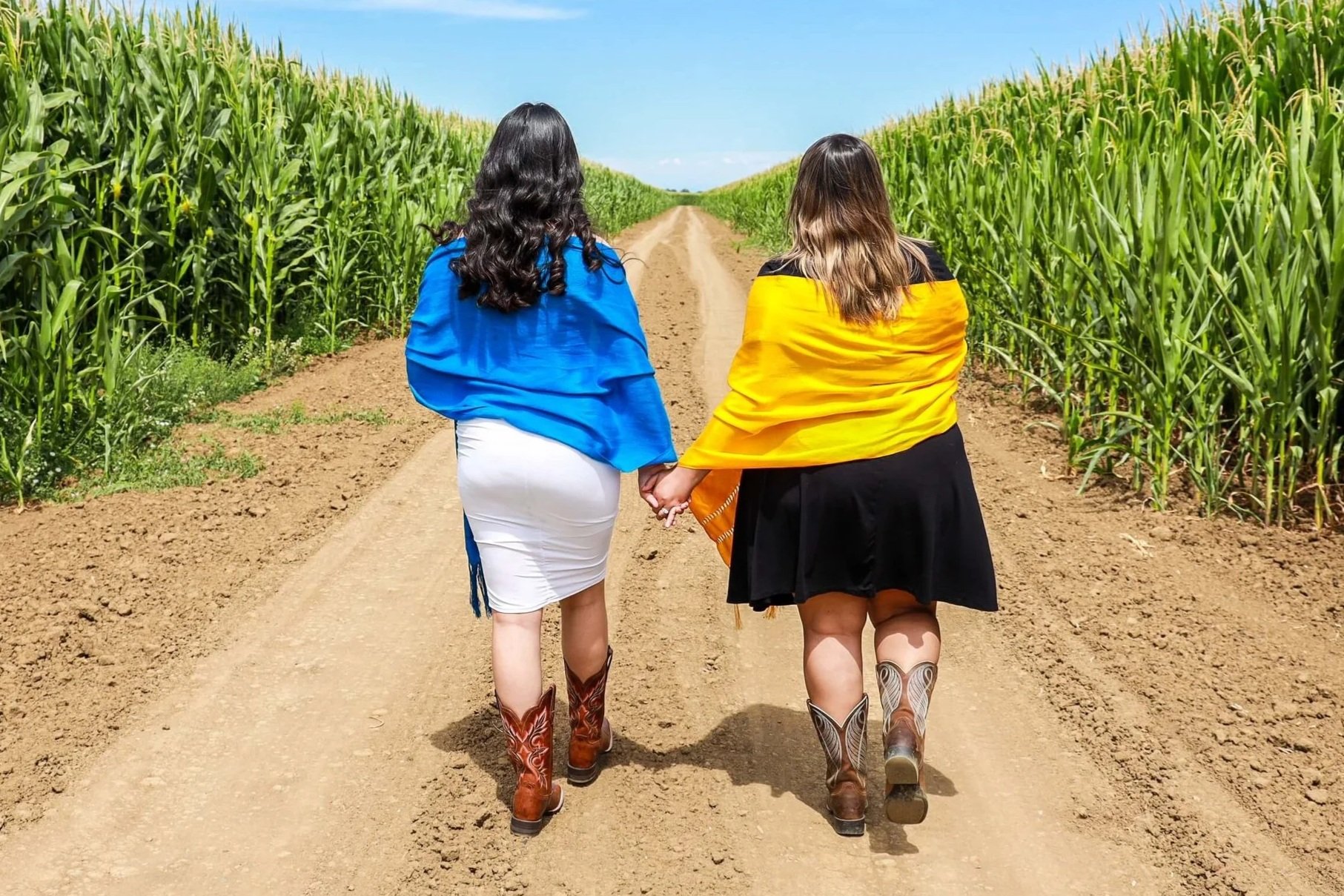 two mixed race queer women holding hands as they walk through a corn field, with their backs to the camera, both wearing cowboy boots, one with a bright blue scarf around their shoulders and the other with a bright yellow scarf around their shoulders