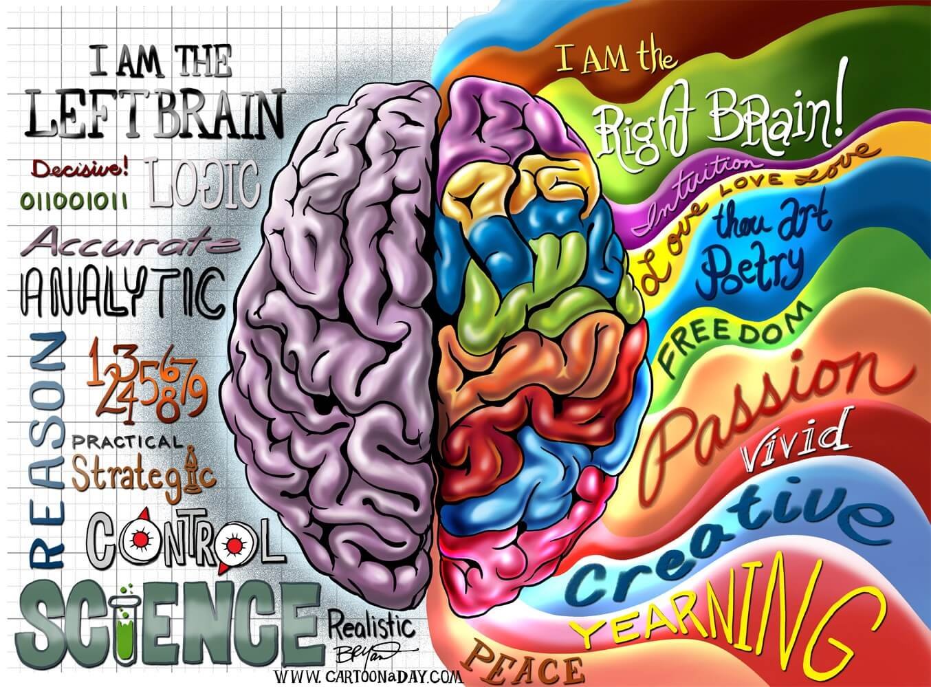 "I am the Left Brain..." and "I am the Right Brain..." written next to each hemisphere of an animated picture of the human brain, with descriptive words for each hemisphere's general skills and roles