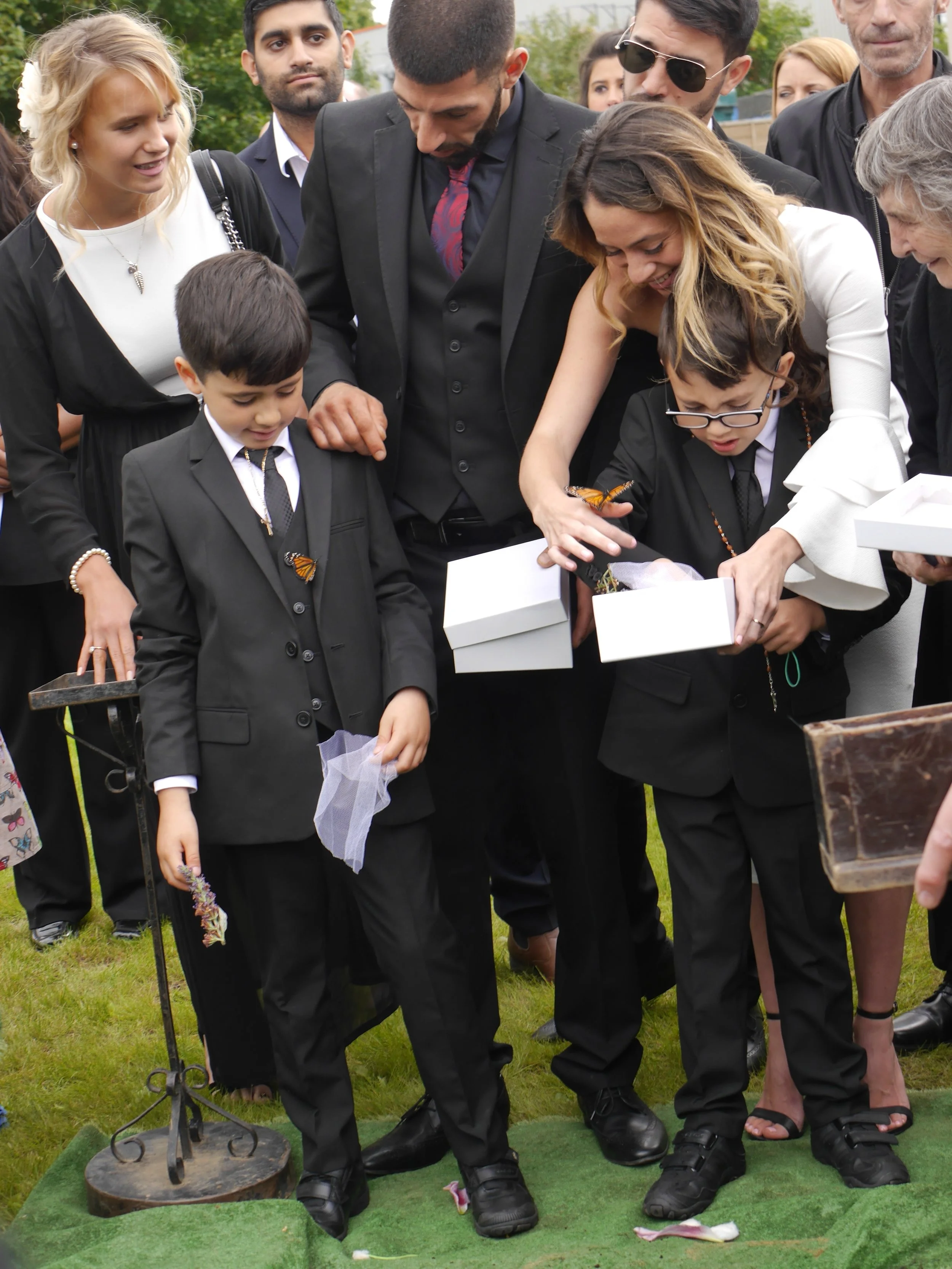 Butterflies being released at graveside in West London
