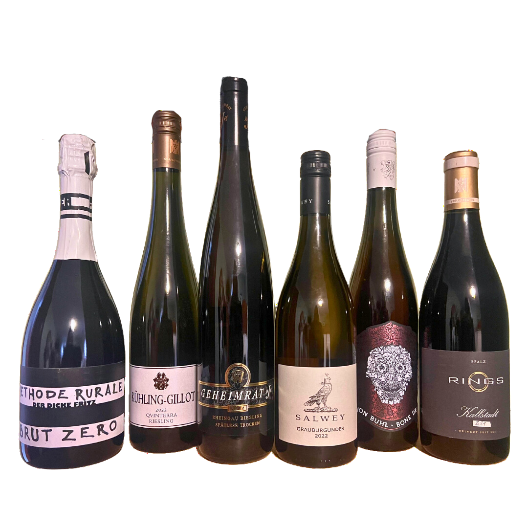 Untitled design-181.png