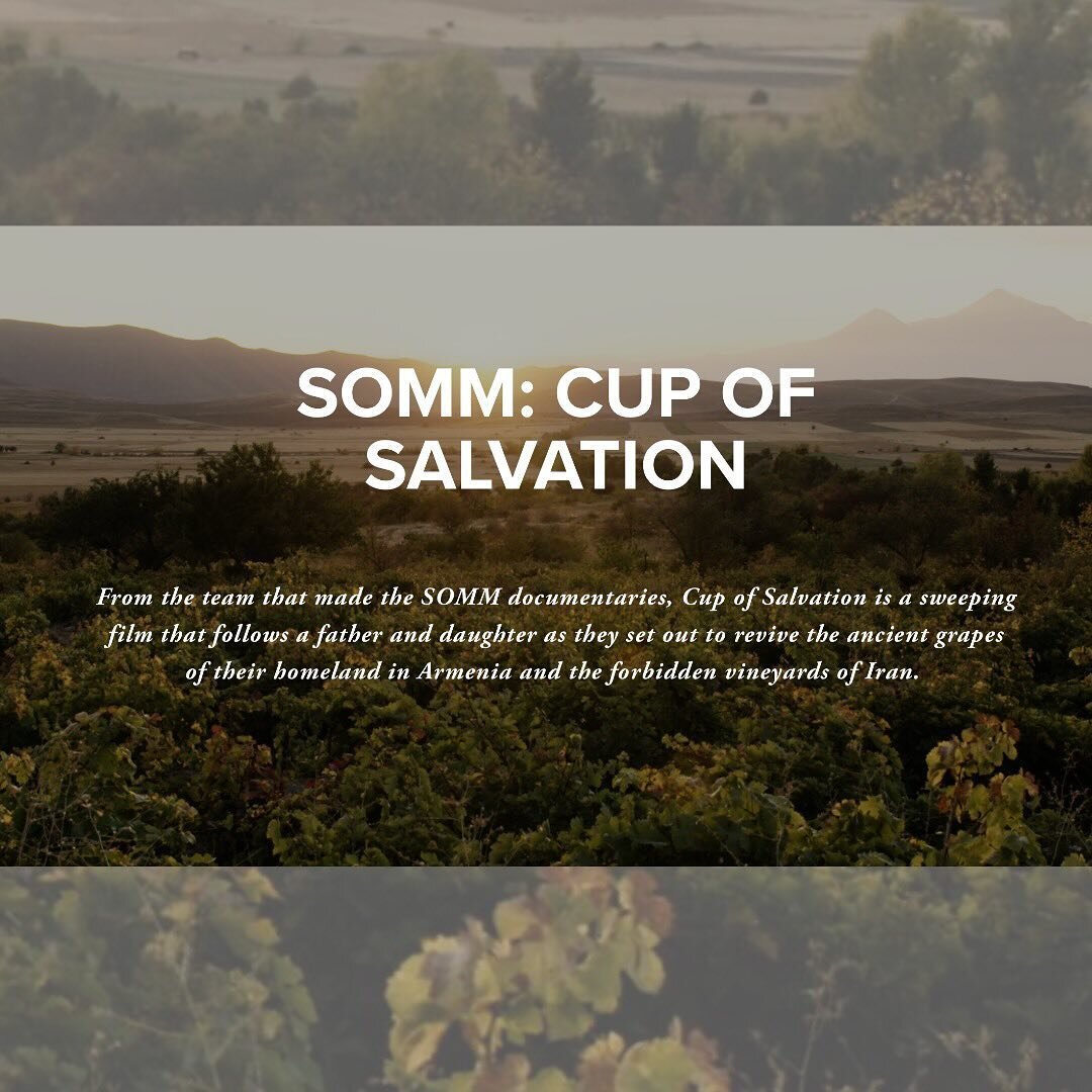 Tickets are live! Pop over to our website and secure your spot now! Early Access tickets are limited.
We&rsquo;re excited to announce the Minneapolis Premiere of Somm: Cup of Salvation, hosted at the historic Parkway Theatre on February 20th. Don&rsq
