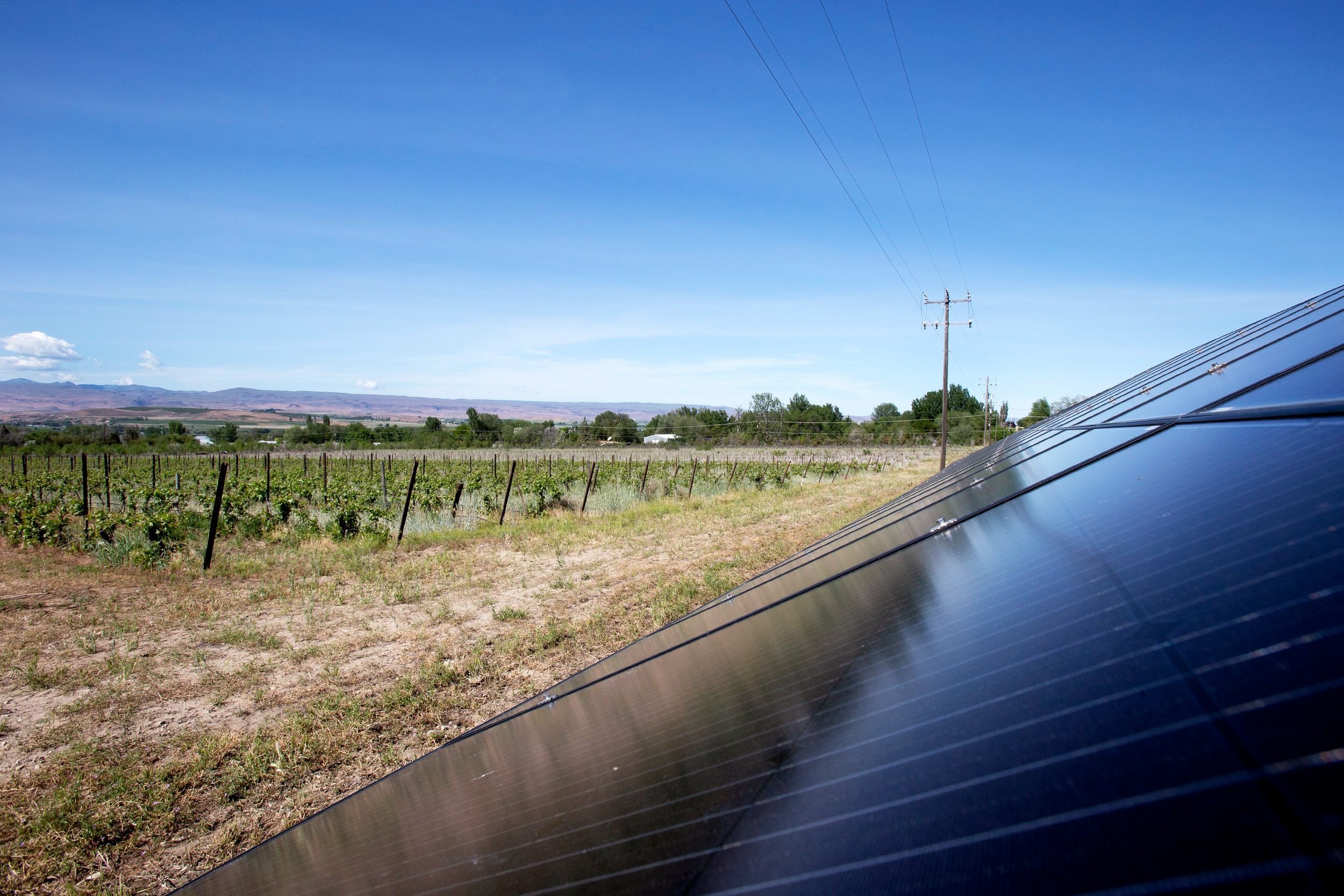 Solar panels at Hells Canyon and Zhoo Zhoo winery