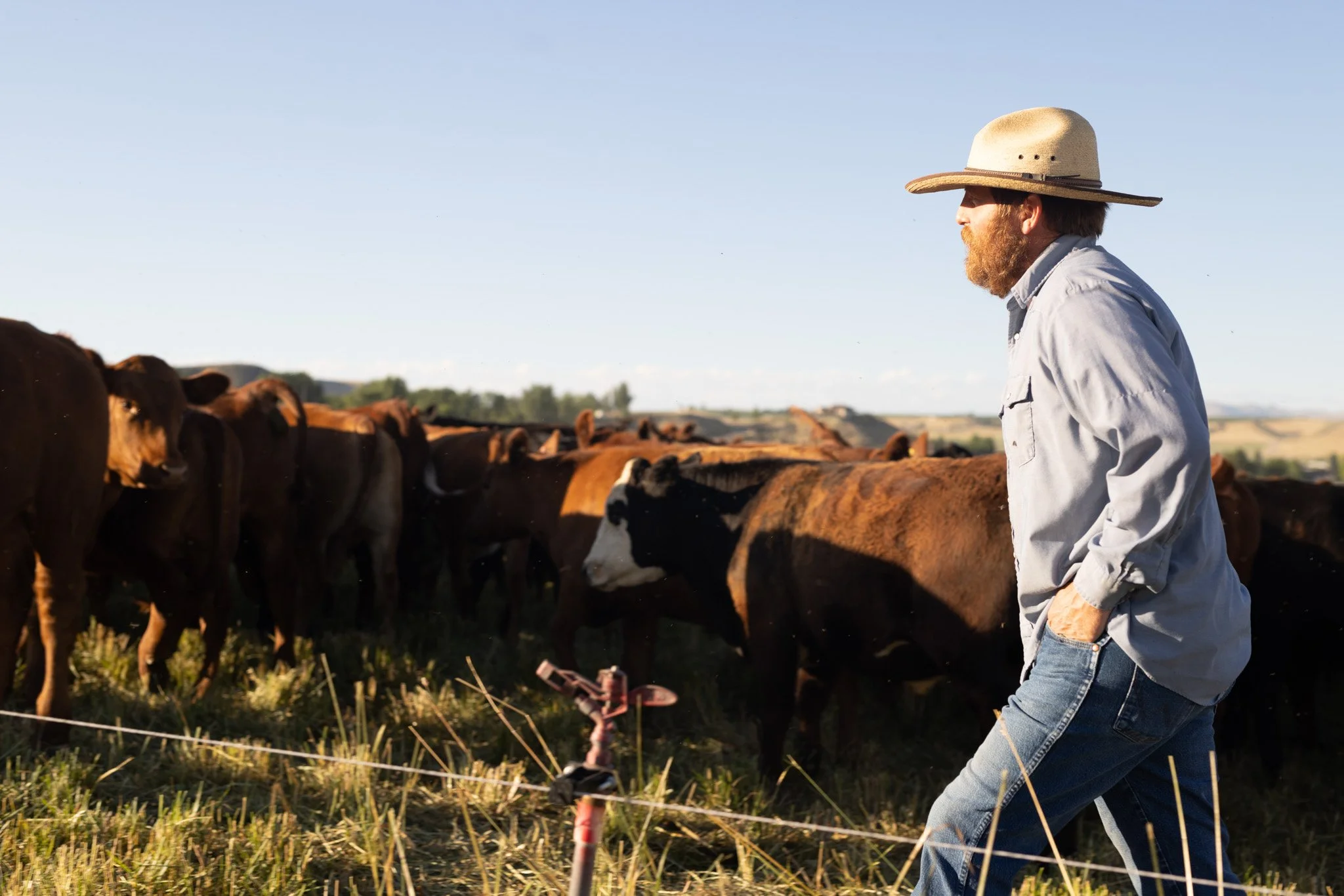 Project FARE Spotlight Explore McIntyre Pastures in Caldwell, Idaho