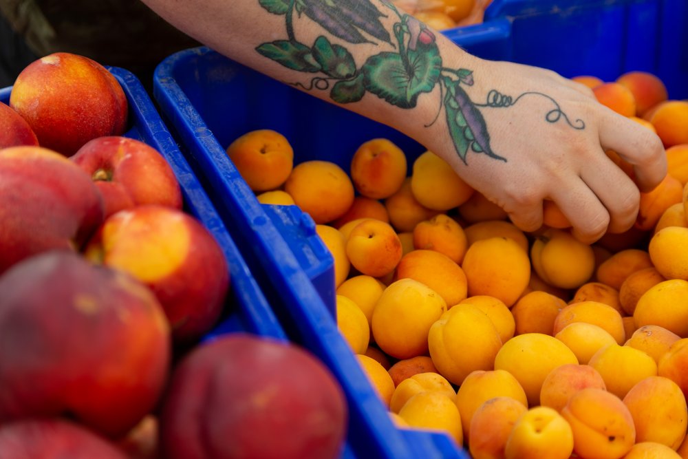 Pecoraro buys apricots for making jam from K &amp; C Farms on Aug. 13 at the Moscow Farmers Market.