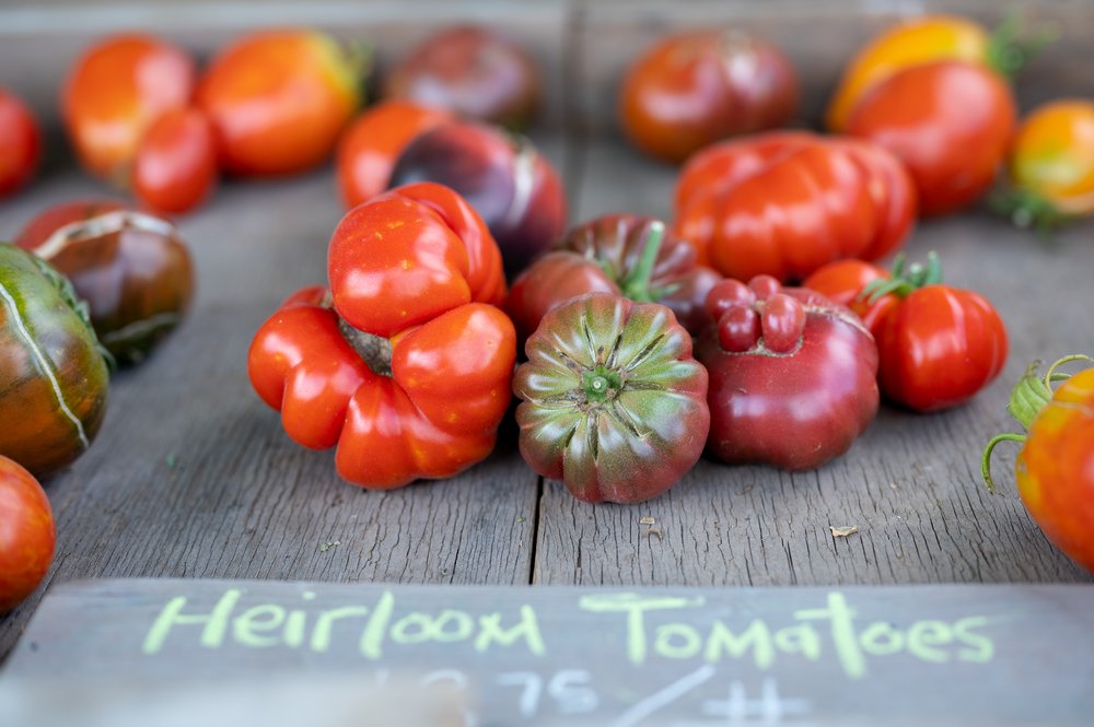 Heirloom tomatoes from Bowman Farm