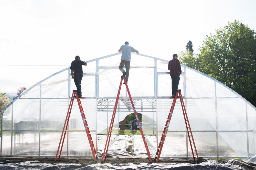 Workers build the greenhouse.