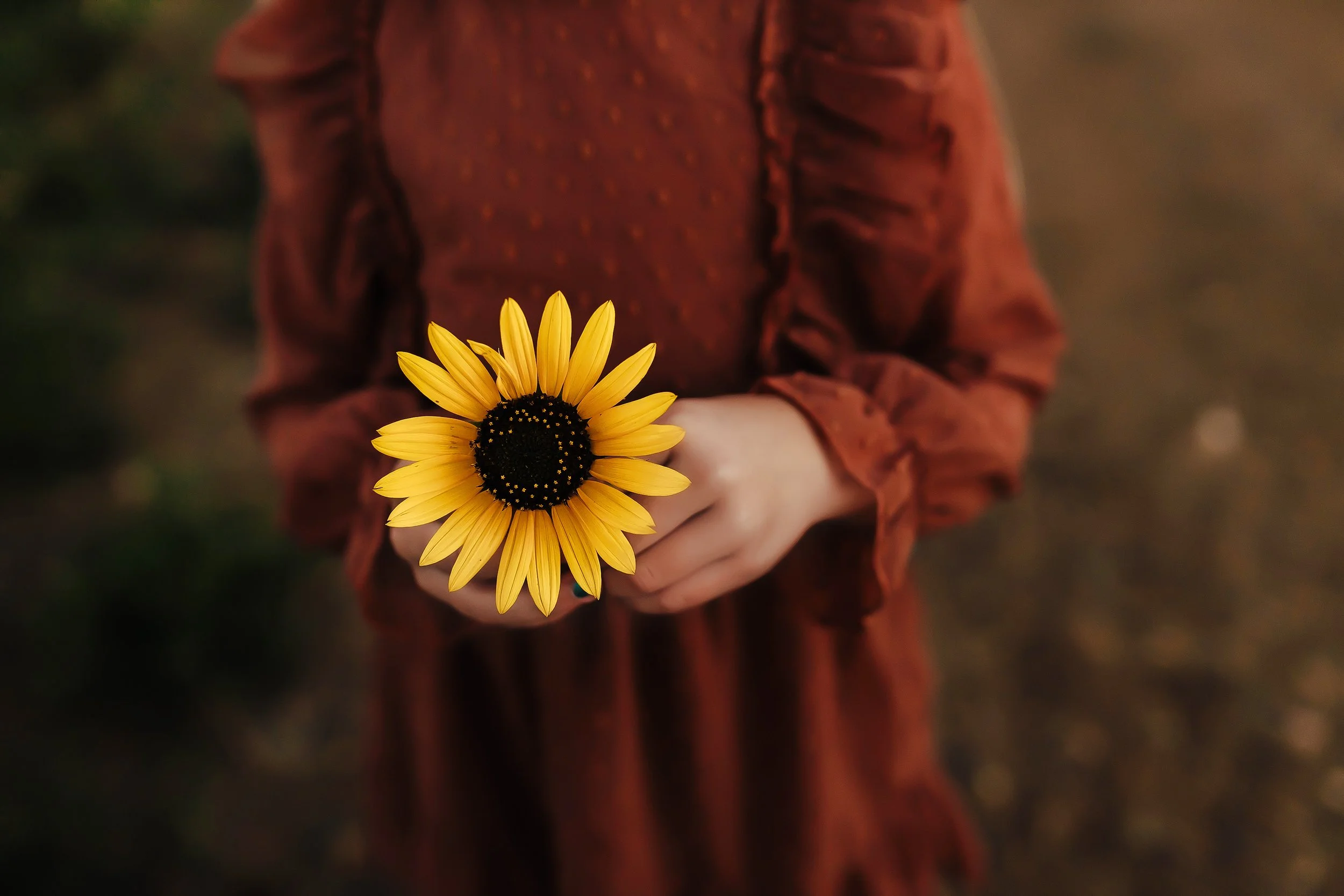 Hanson Maternity!-59.jpg