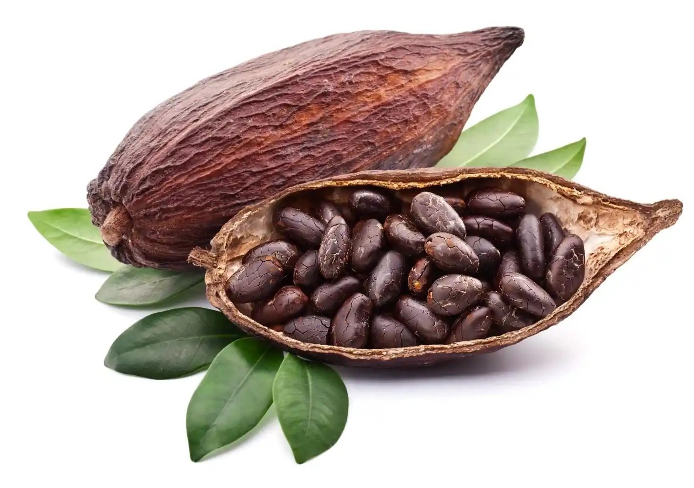 The Sweet Benefits of Cacao in roo.bru: A Healthy Alternative to Dark Chocolate