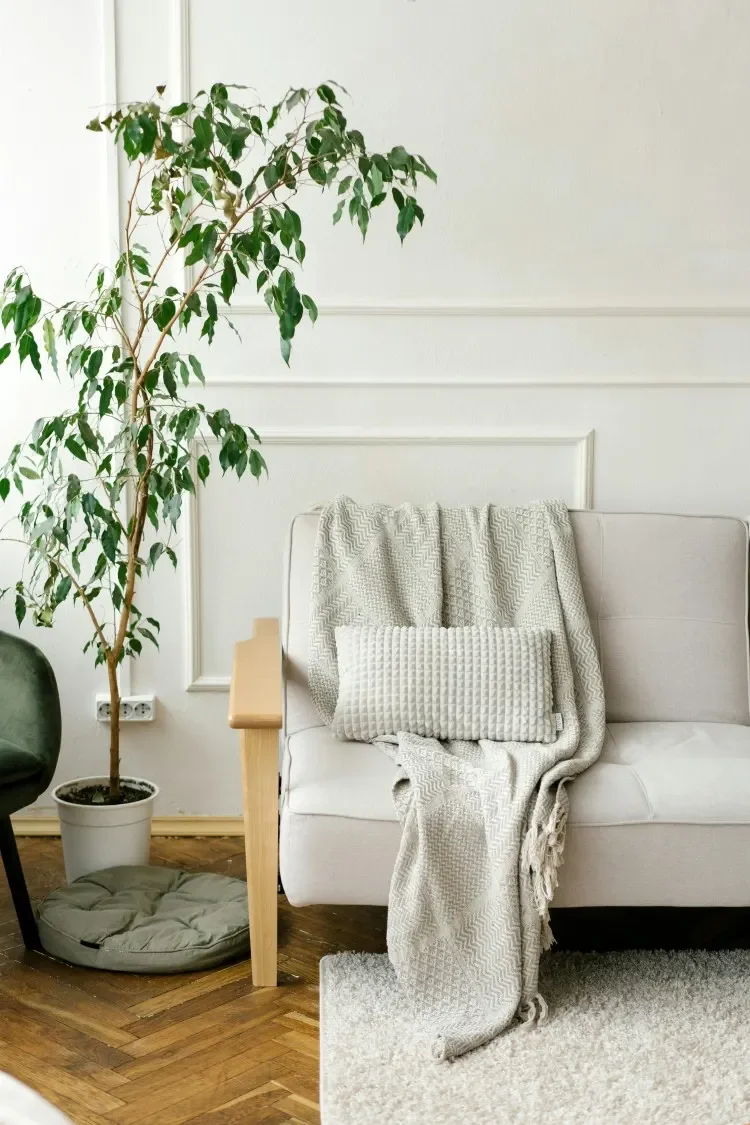 A white couch with a white shawl and pillow.