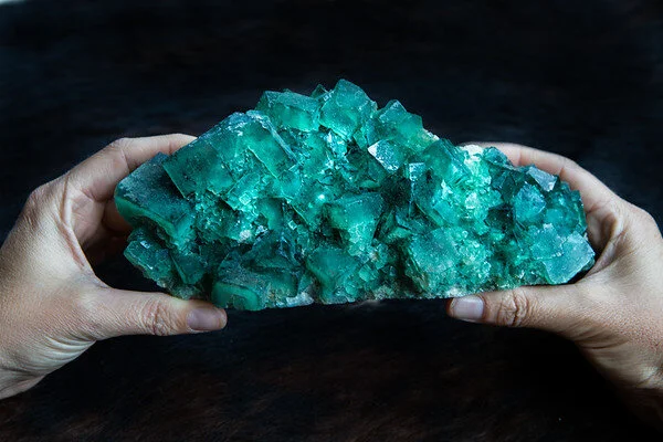 F6D4ECA4-DABF-45B5-9BCB-BF68A77C72F9