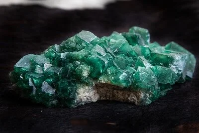 E328082A-A639-4170-81B5-4FCE3D8C9D4C