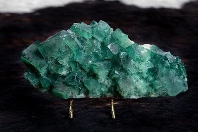 63B14F24-E50F-4CBB-8809-3A697541B2CF