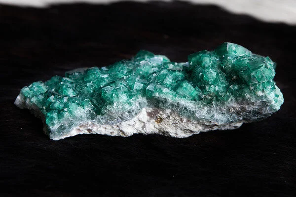 18E95413-FA55-4C6D-98D3-F88A416B9985