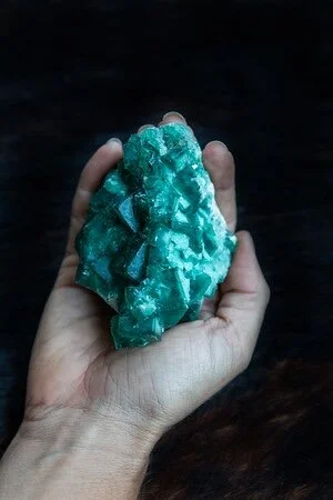 1C1A70EF-03FE-4A65-AF67-3EFEA5F074D7