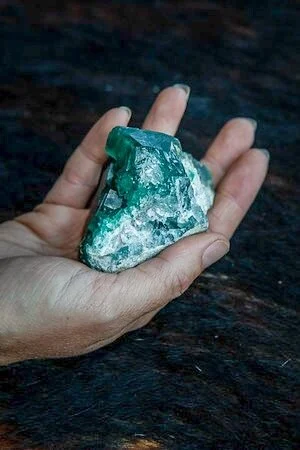 696F6389-D27E-480E-88D0-1EDBABE8A91D