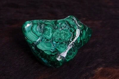 0980A23E-3059-4FB8-8A83-8CFFC121B3A0