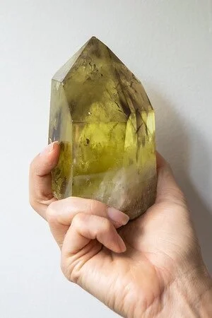 79FD842B-0218-4700-9811-52DD60BD891E