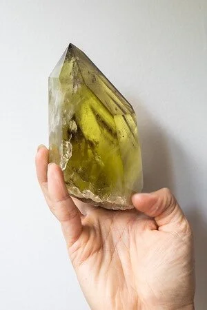 7C755D0B-3981-4F69-9A5B-319388E5A5E9