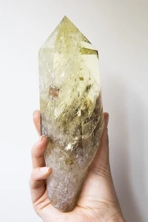 1E902B3F-19E1-48C7-8D1B-195E9685AD65